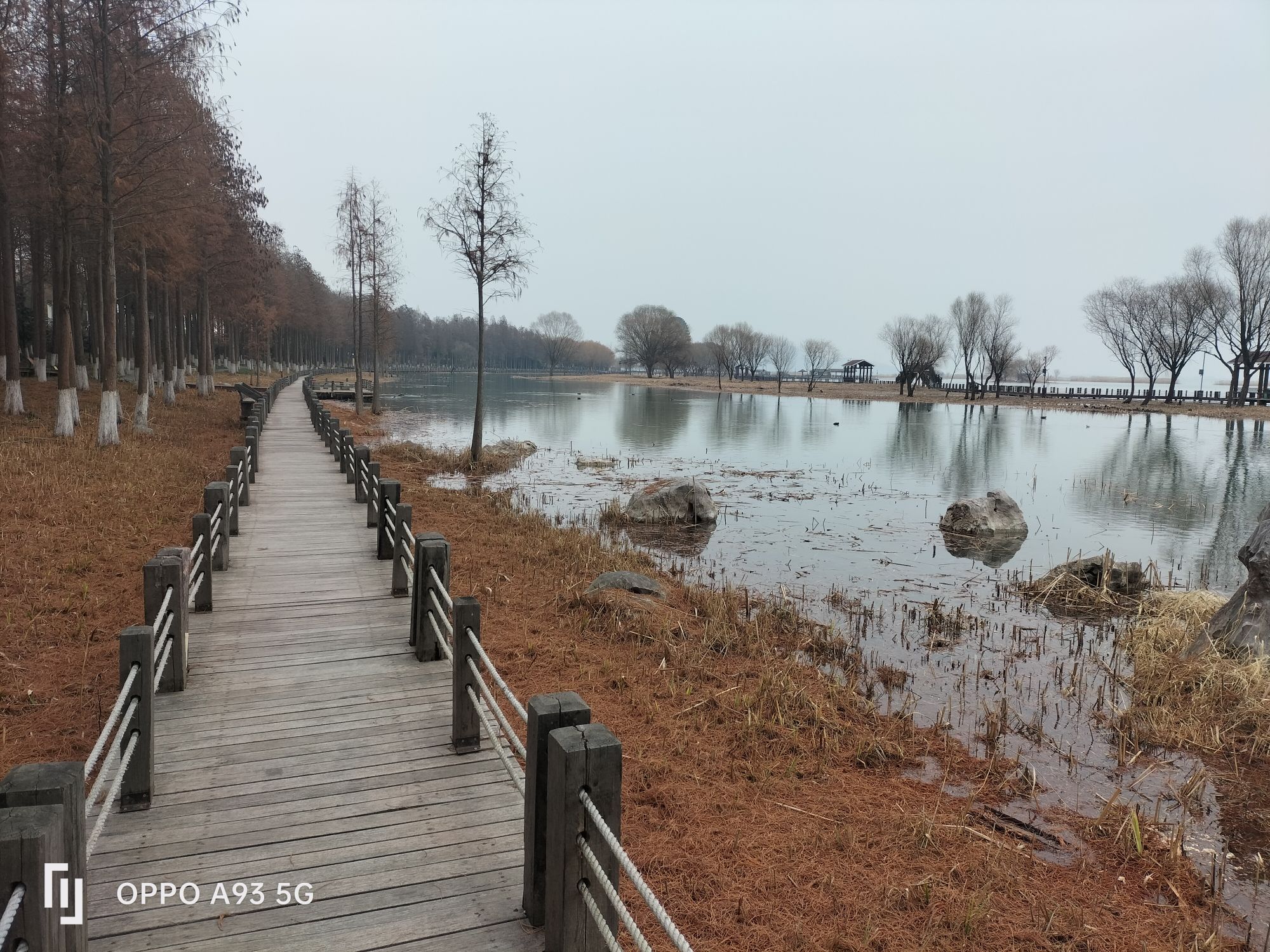 太湖湖滨国家湿地旅行图片 3