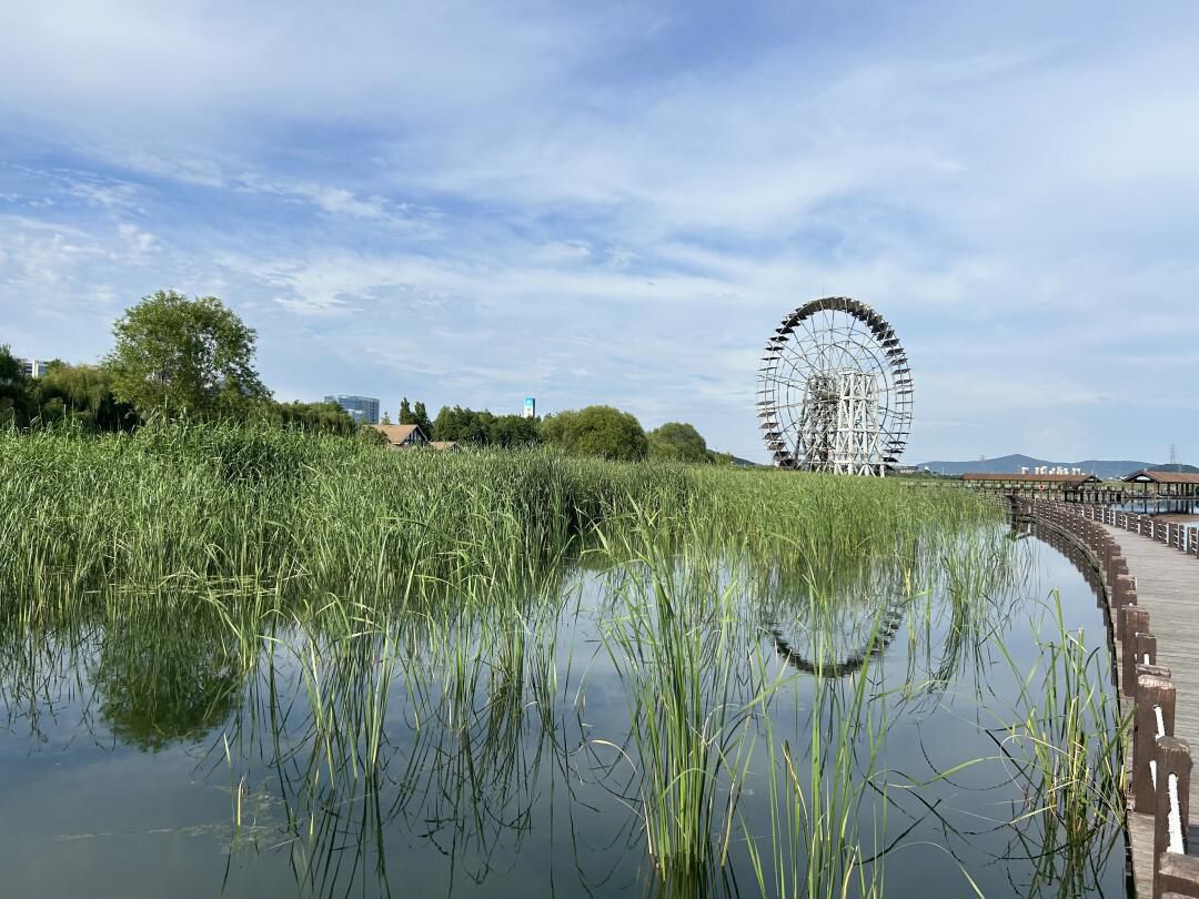 太湖湖滨国家湿地旅行图片 1