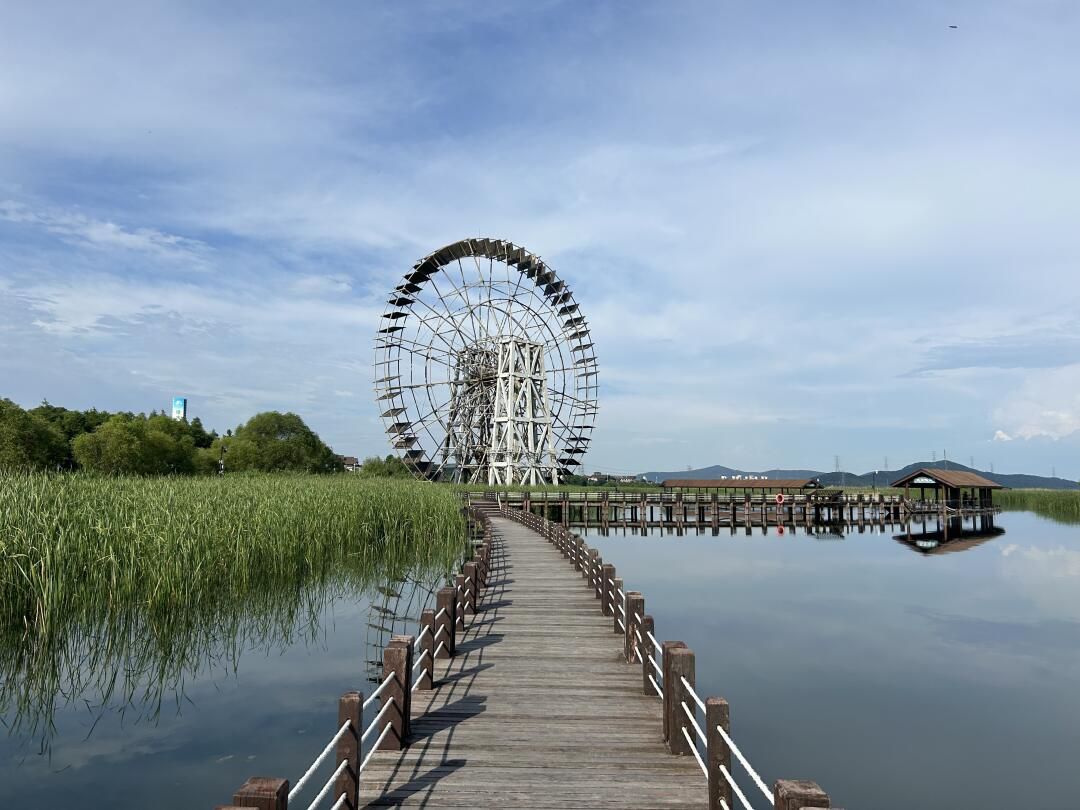 太湖湖滨国家湿地旅行图片 2