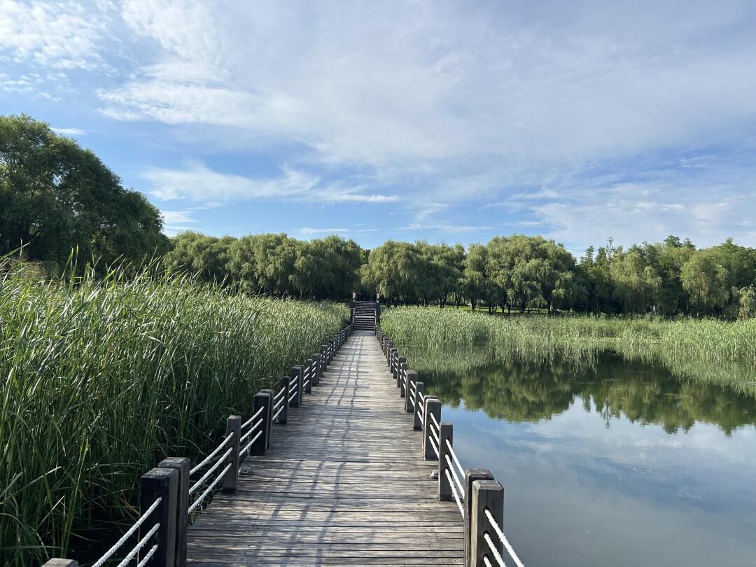 太湖湖滨国家湿地旅行图片 3
