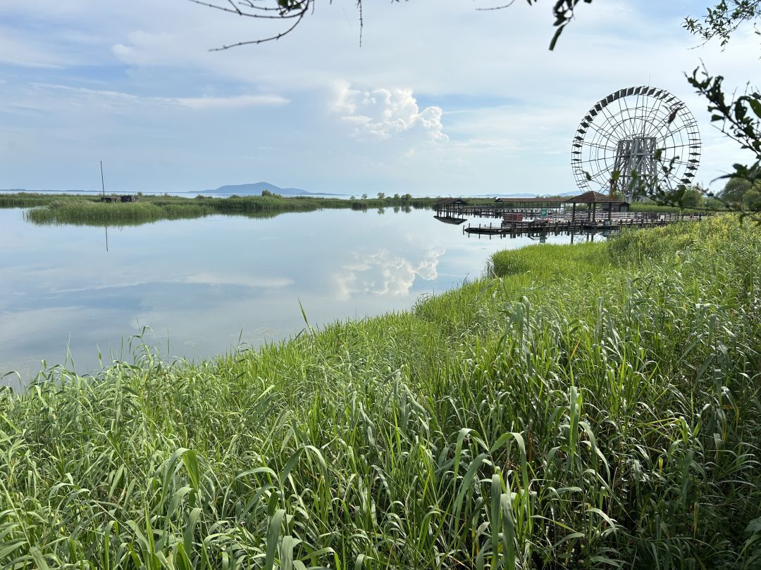 太湖湖滨国家湿地旅行图片 3