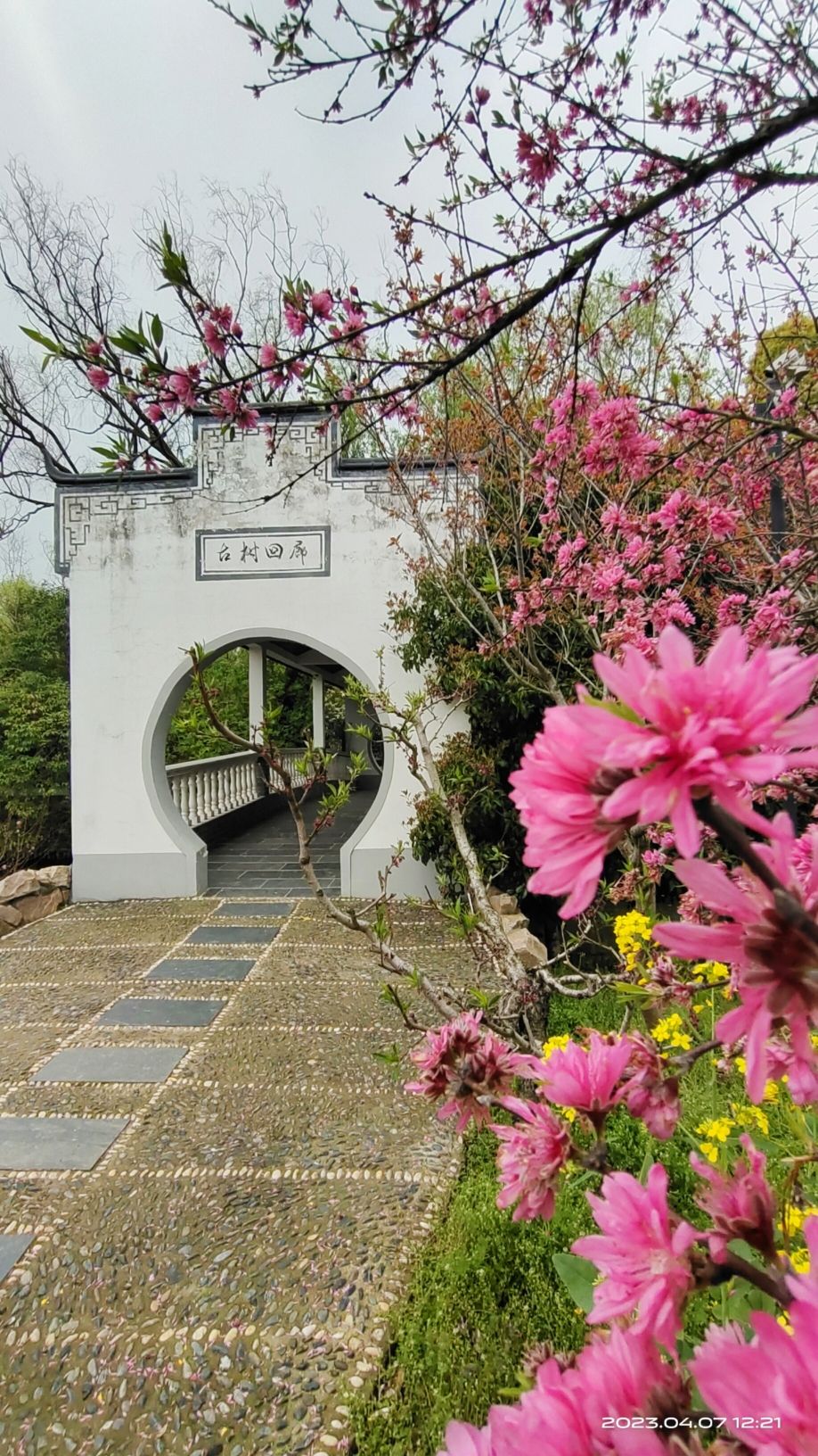 上海南汇桃花村旅行图片 3