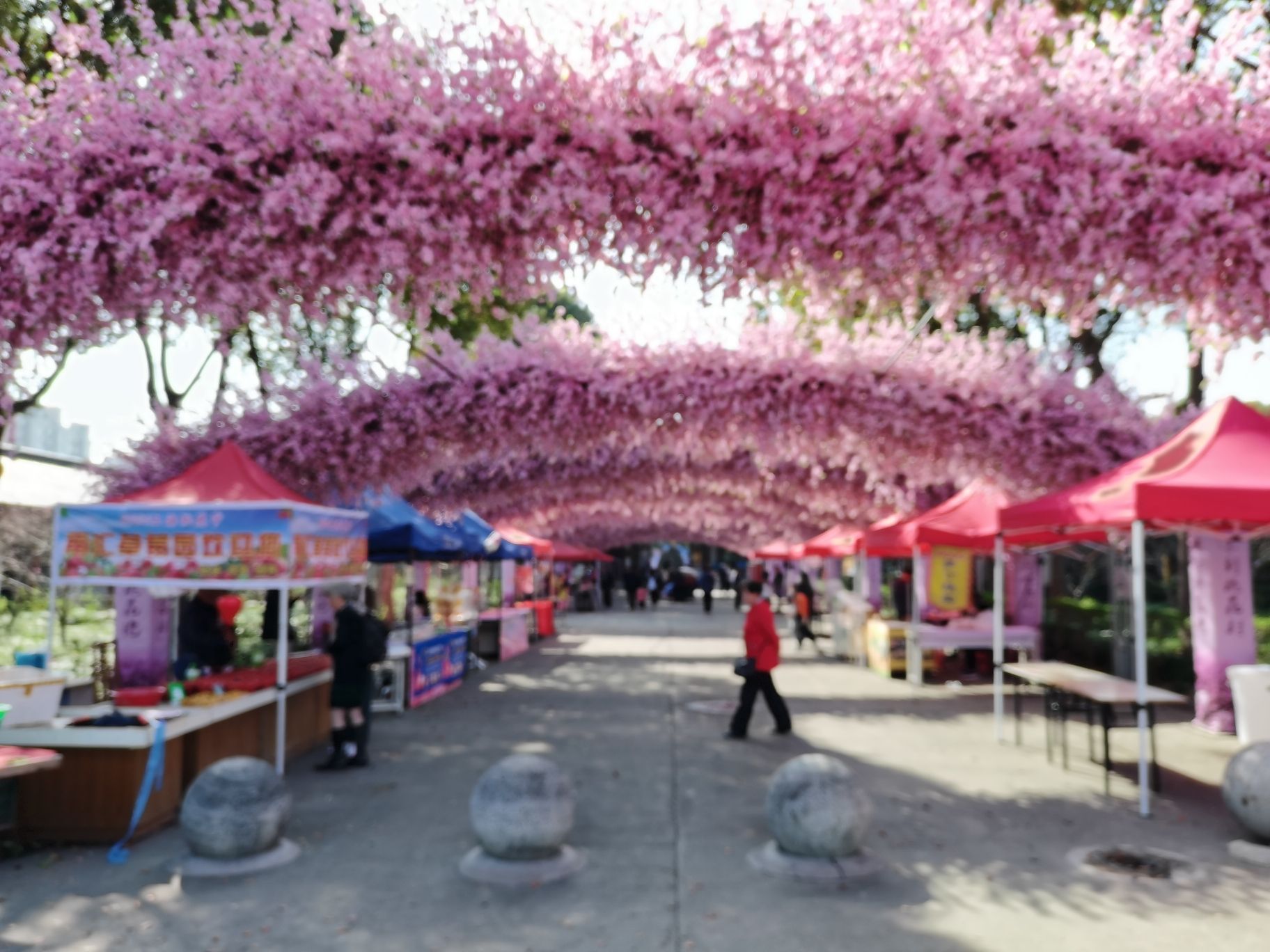 上海南汇桃花村旅行图片 1