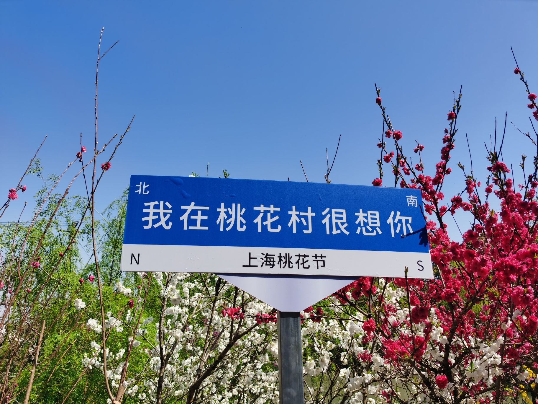 上海南汇桃花村旅行图片 2