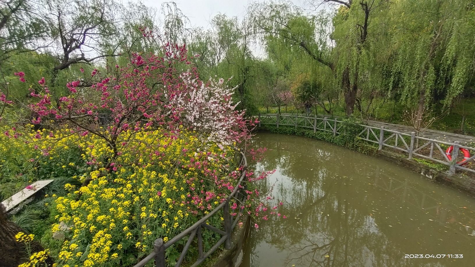 上海南汇桃花村旅行图片 1