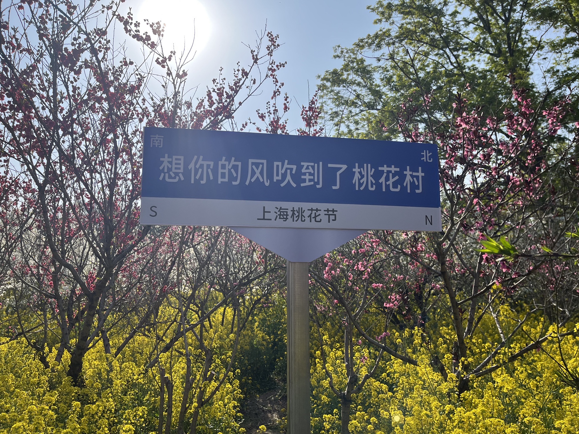 上海南汇桃花村旅行图片 1