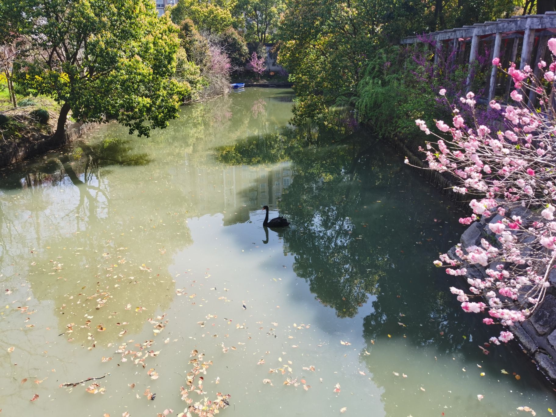 上海南汇桃花村旅行图片 1