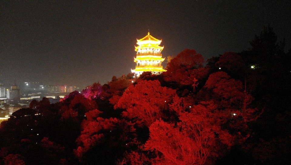 南塔公园旅行图片 2