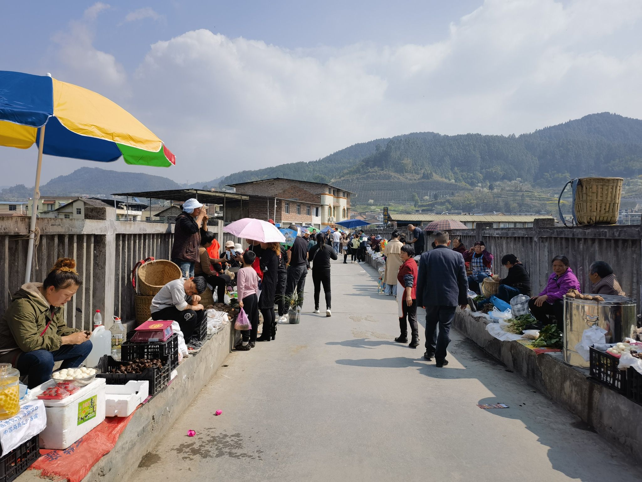 三秀油菜花旅行图片 2
