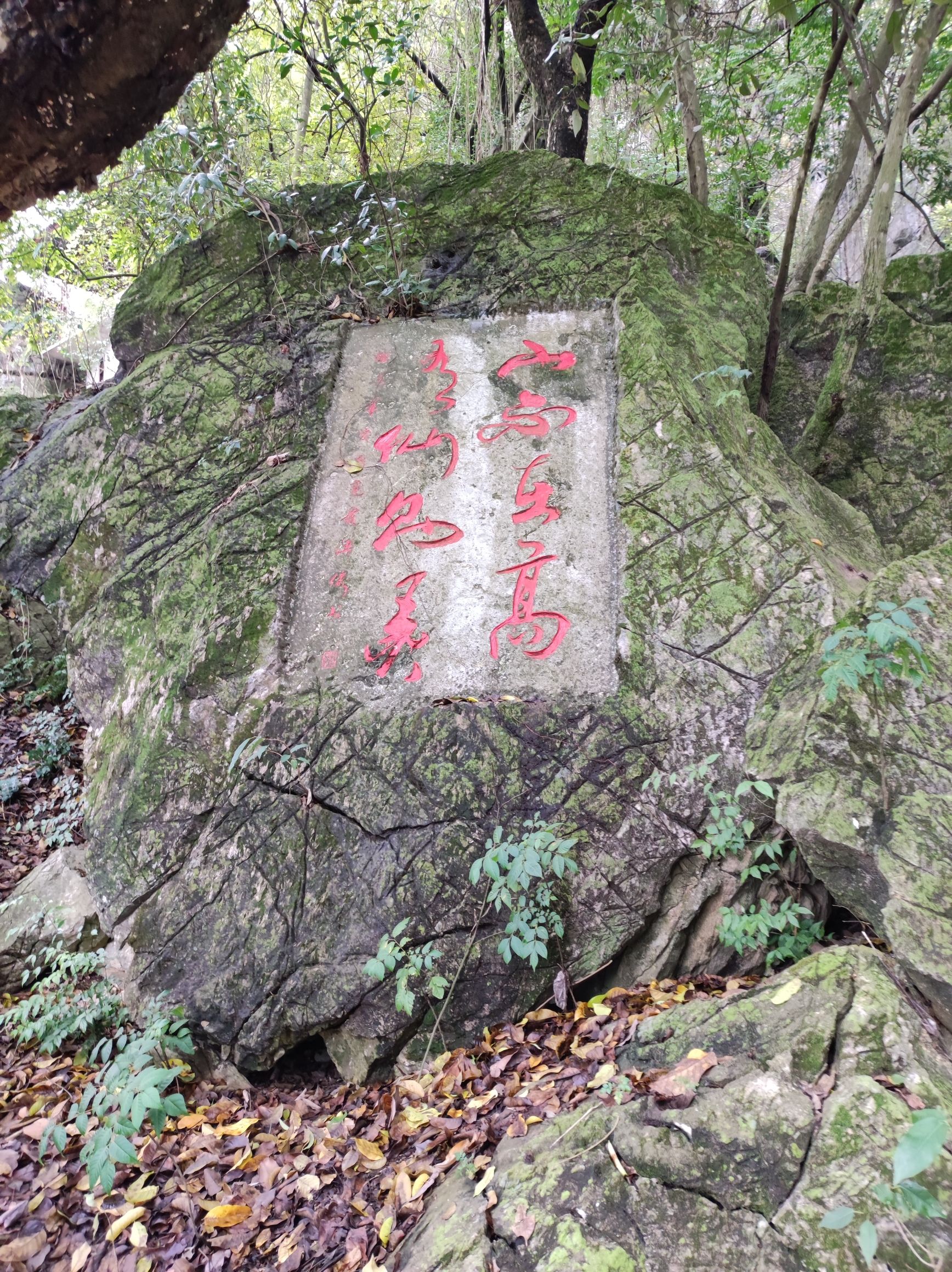 起凤山旅行图片 2