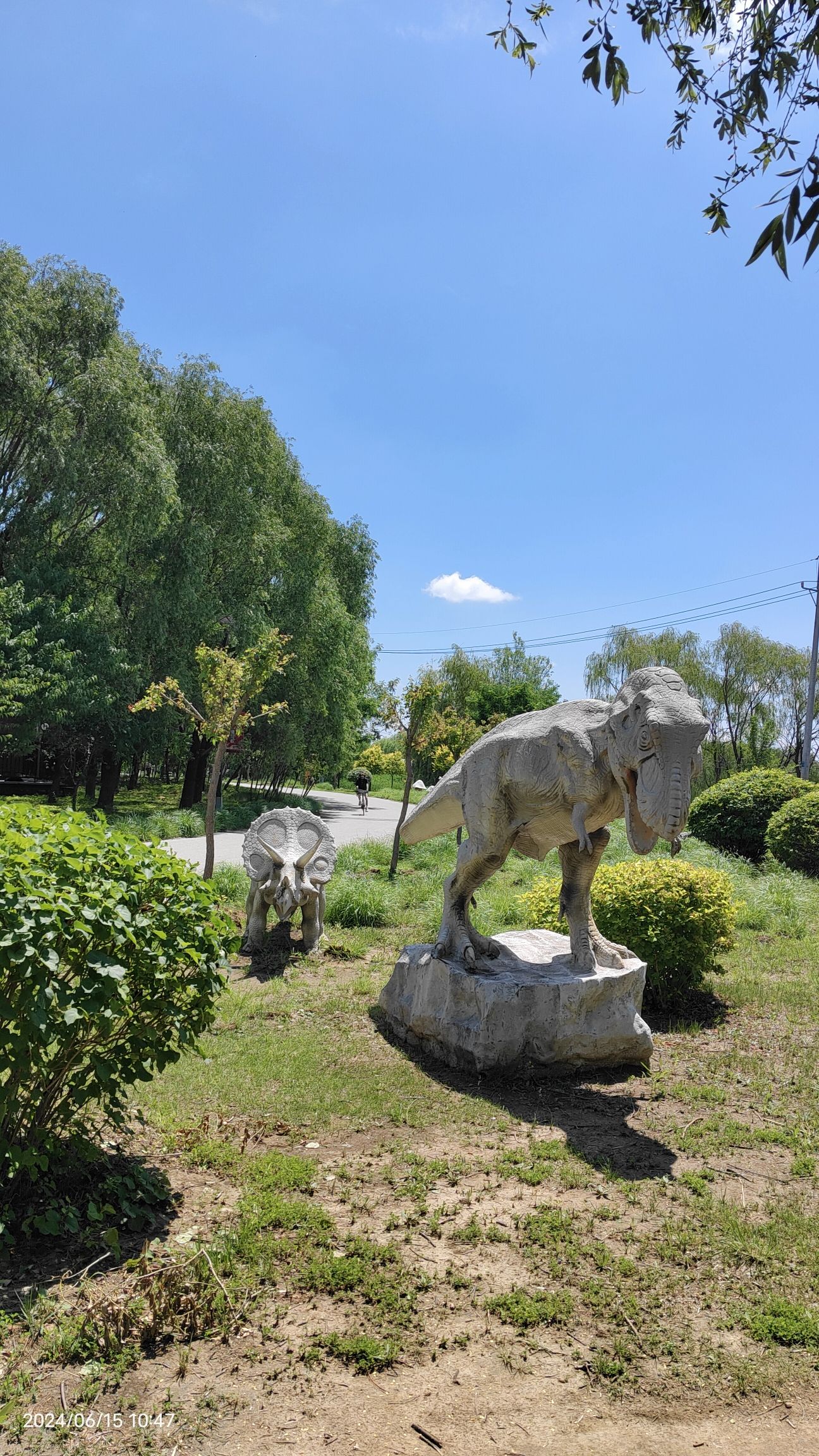 西湖公园旅行图片 3