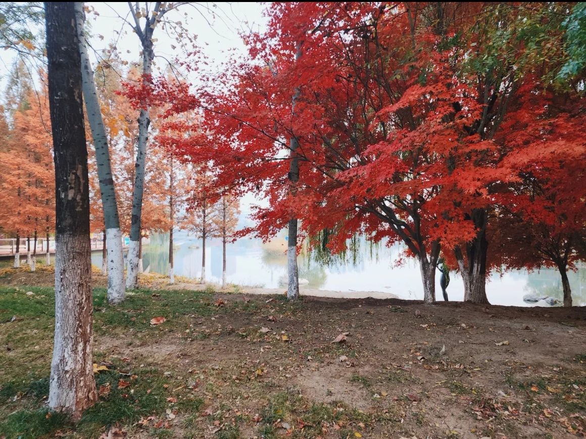 蓼河公园旅行图片 2