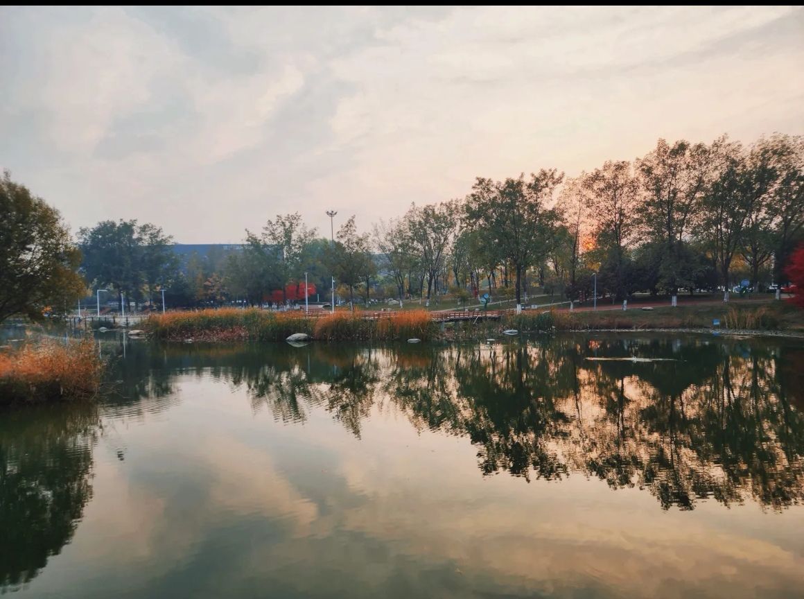 蓼河公园旅行图片 3