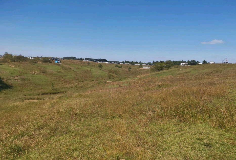大柳草原旅行图片 1