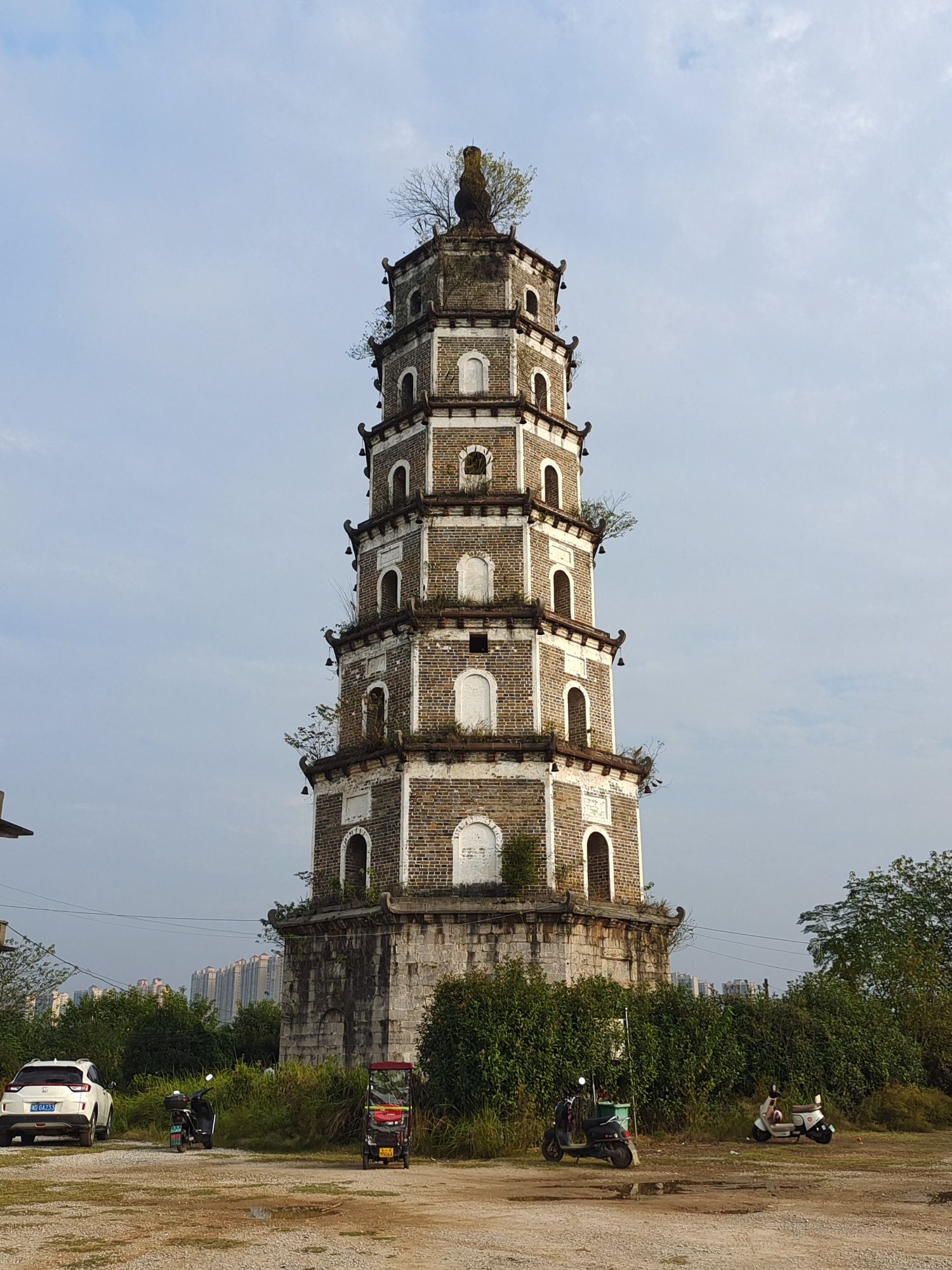 培元塔旅行图片 1