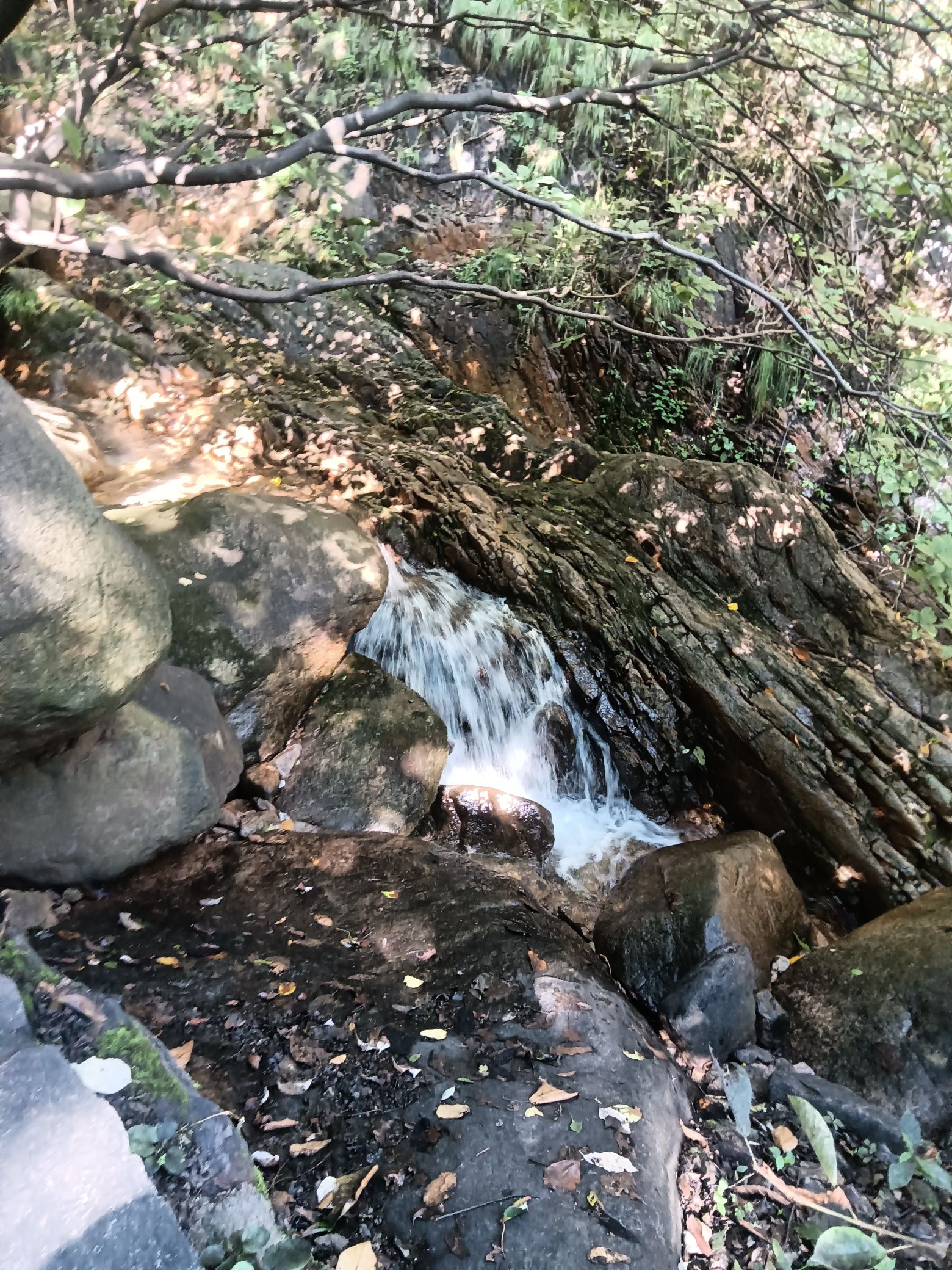 天龙池风景区旅行图片 3