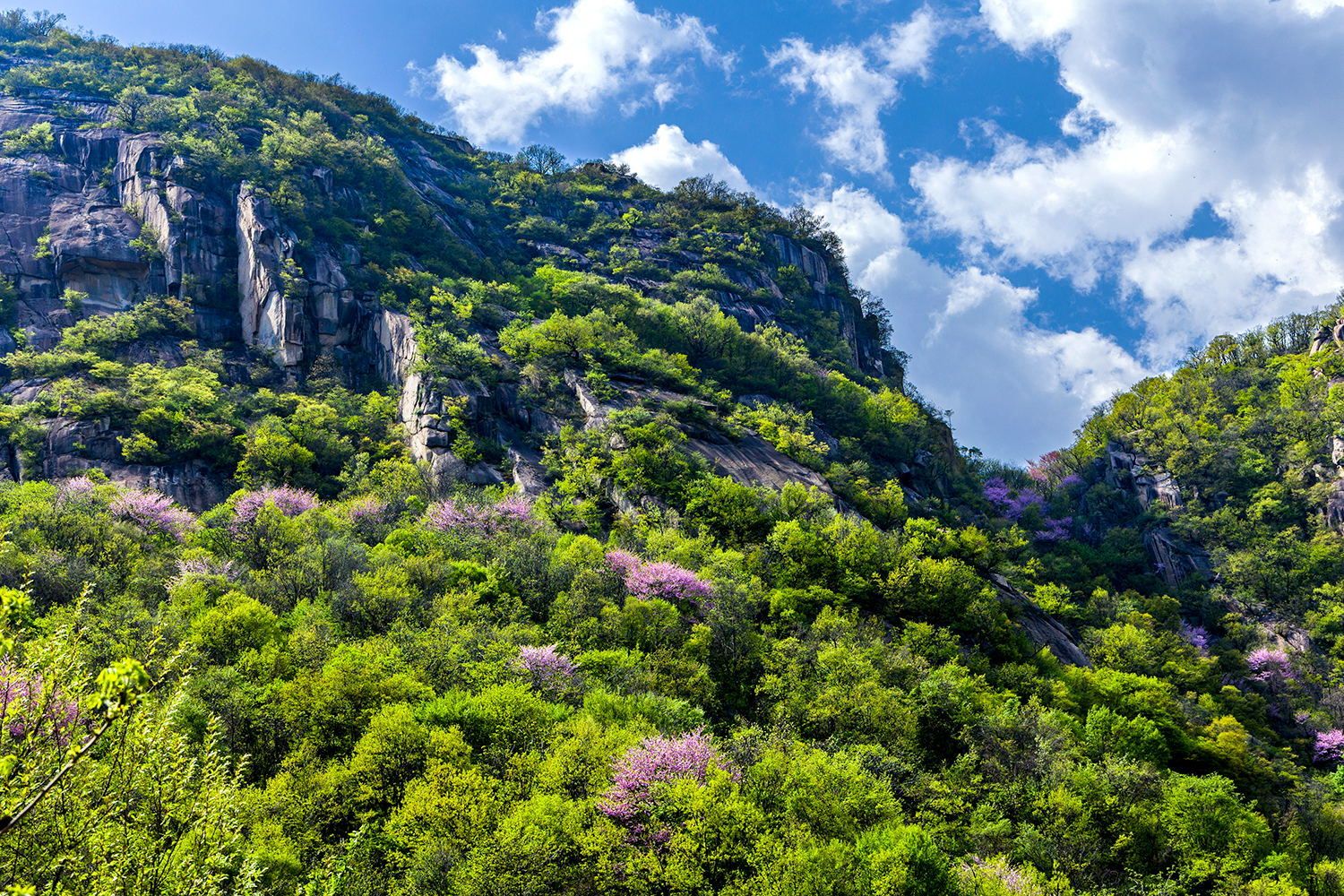 天龙池风景区旅行图片 2