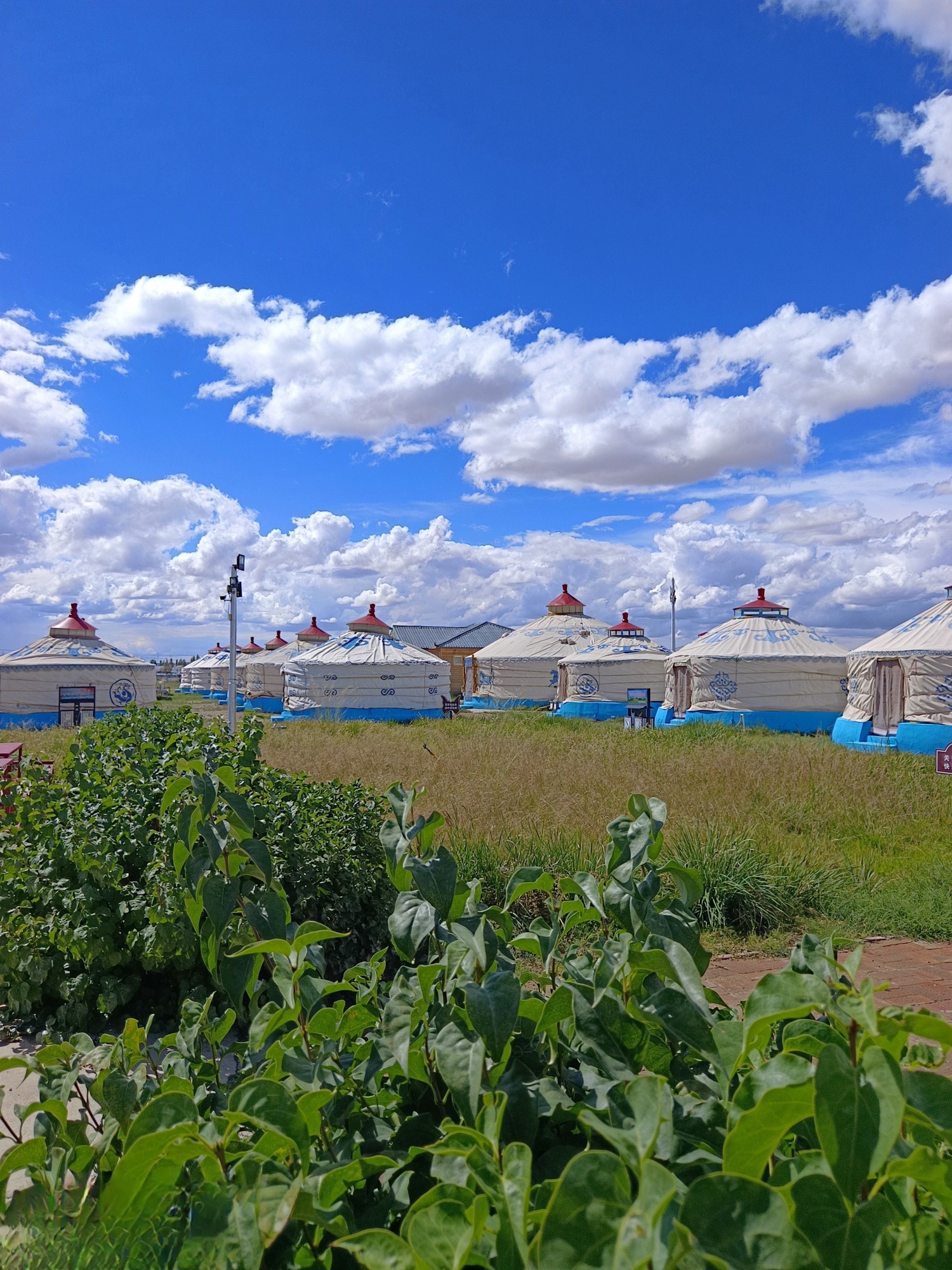 温根塔拉草原旅游区旅行图片 3