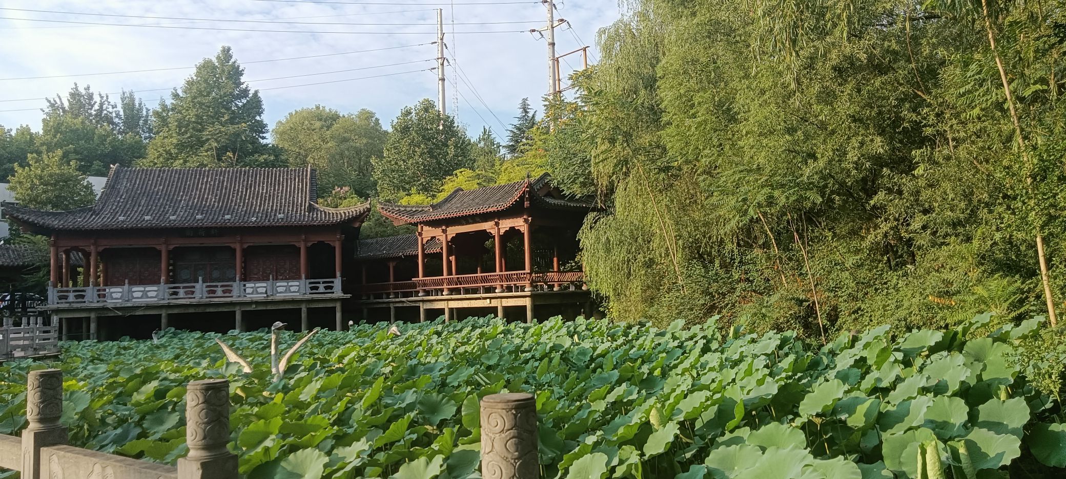 洛阳有生工矿游景区旅行图片 2