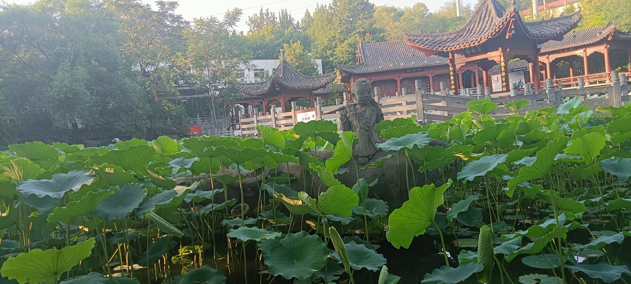 洛阳有生工矿游景区旅行图片 3