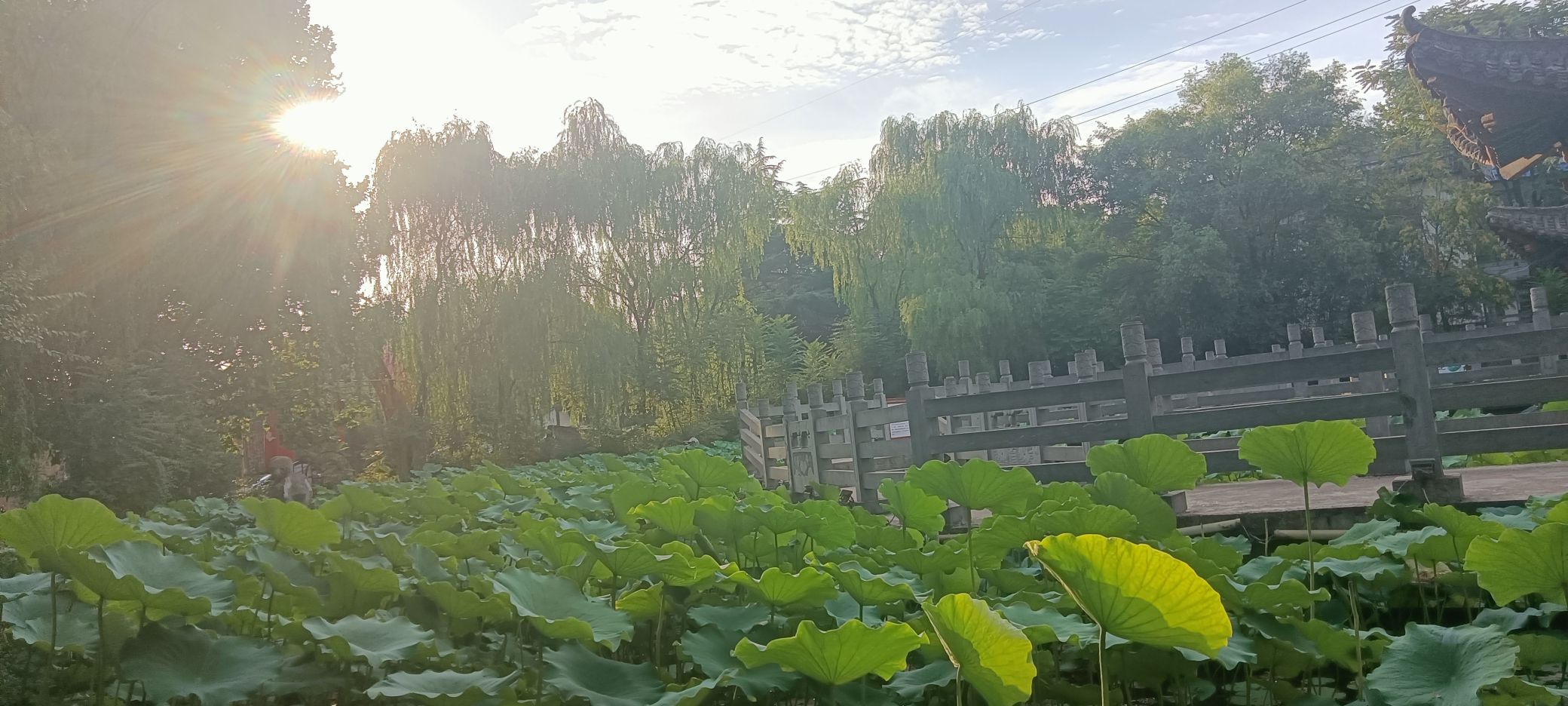 洛阳有生工矿游景区旅行图片 1