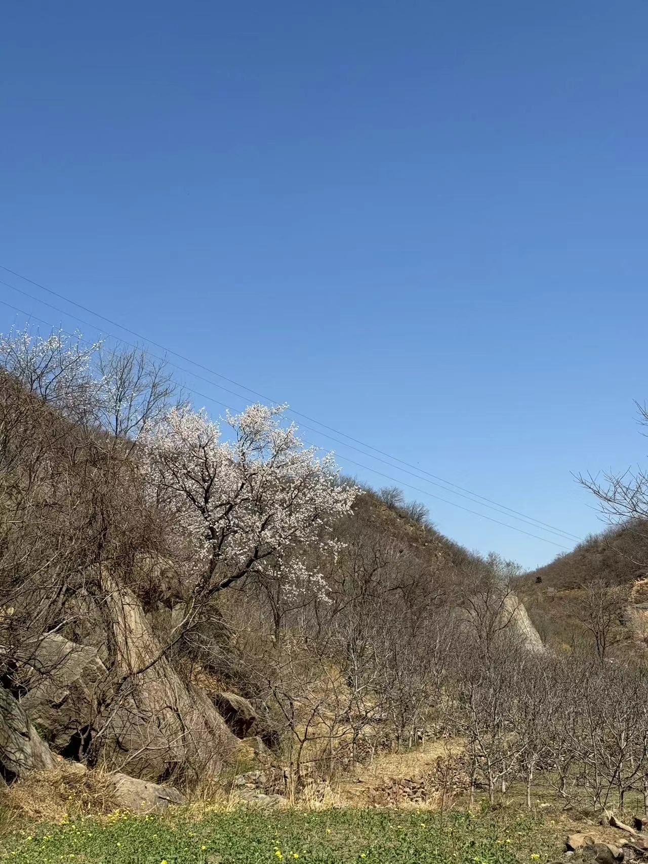 赞皇棋盘山旅行图片 3