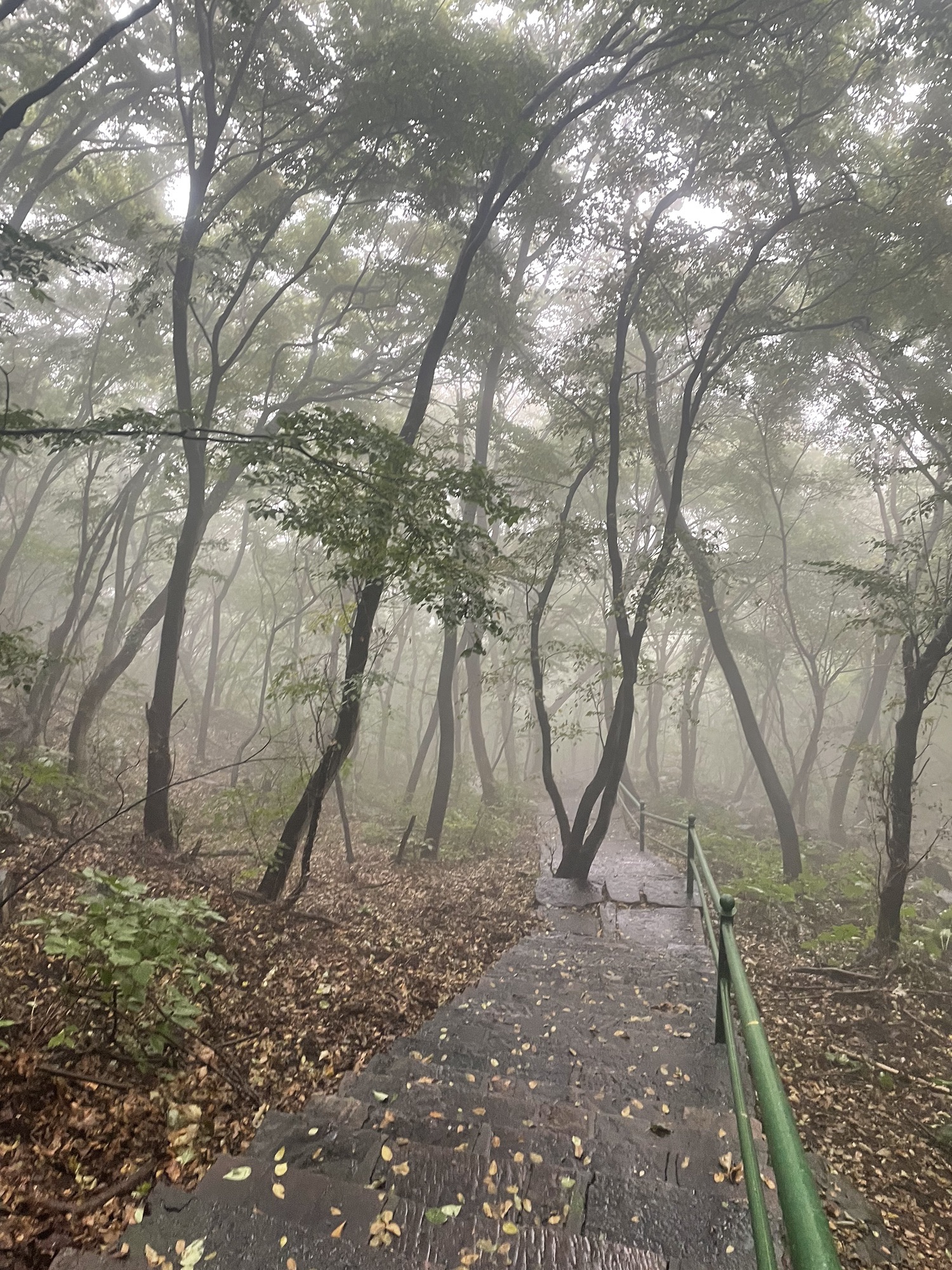 赞皇棋盘山旅行图片 1
