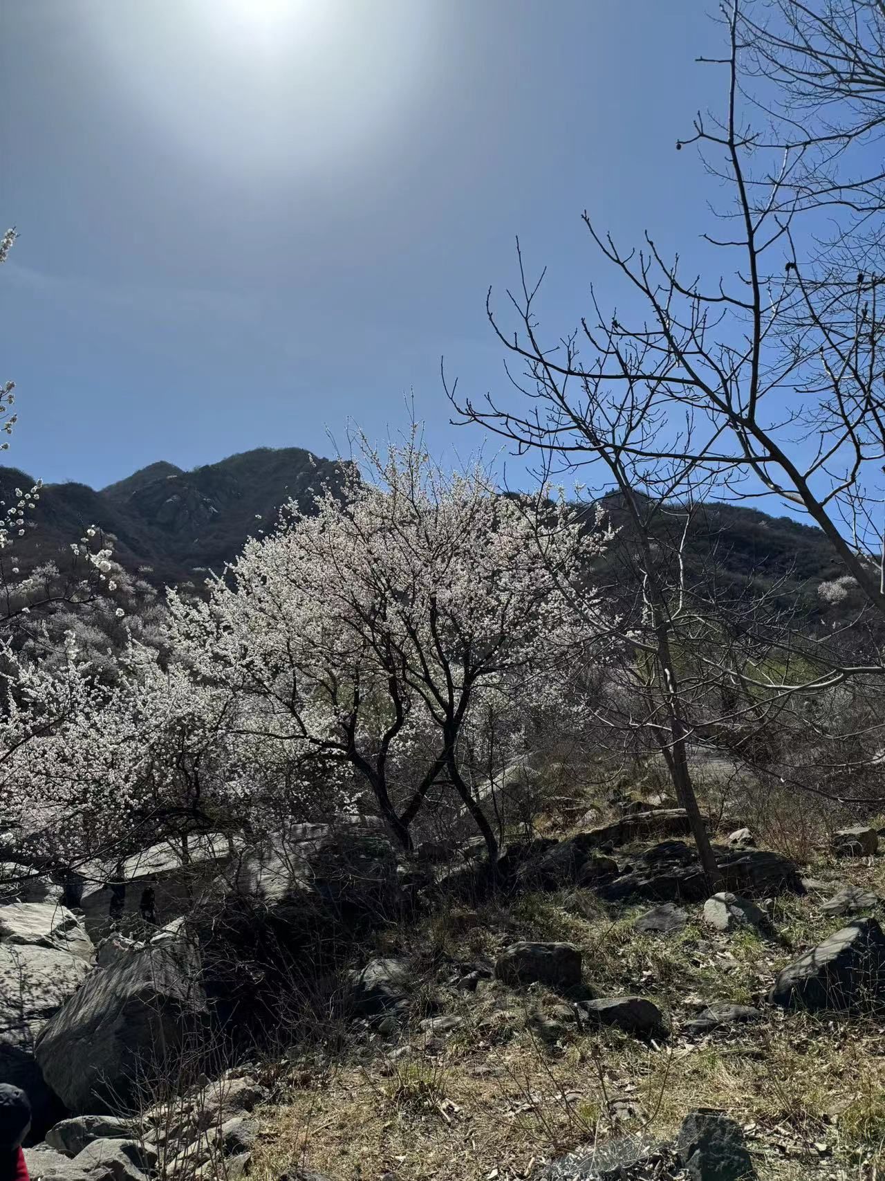 赞皇棋盘山旅行图片 1