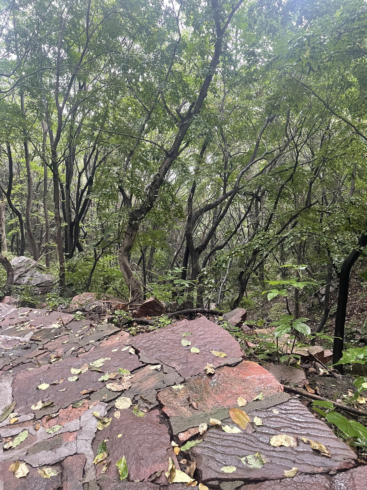 赞皇棋盘山旅行图片 2