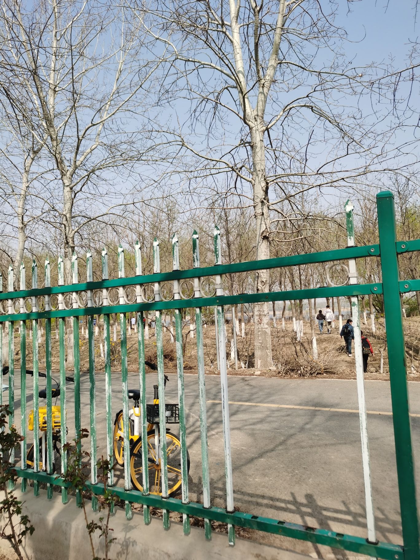 翠明湖旅行图片 3