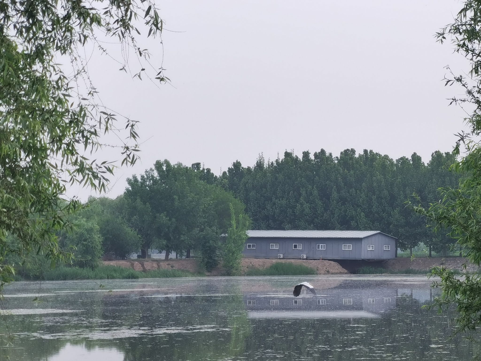 翠明湖旅行图片 1