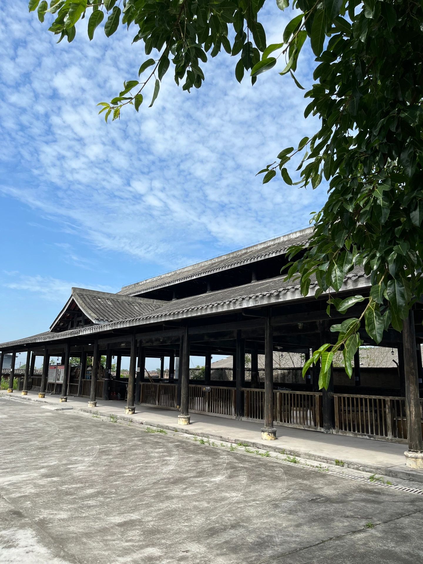 古盐井群旅行图片 1