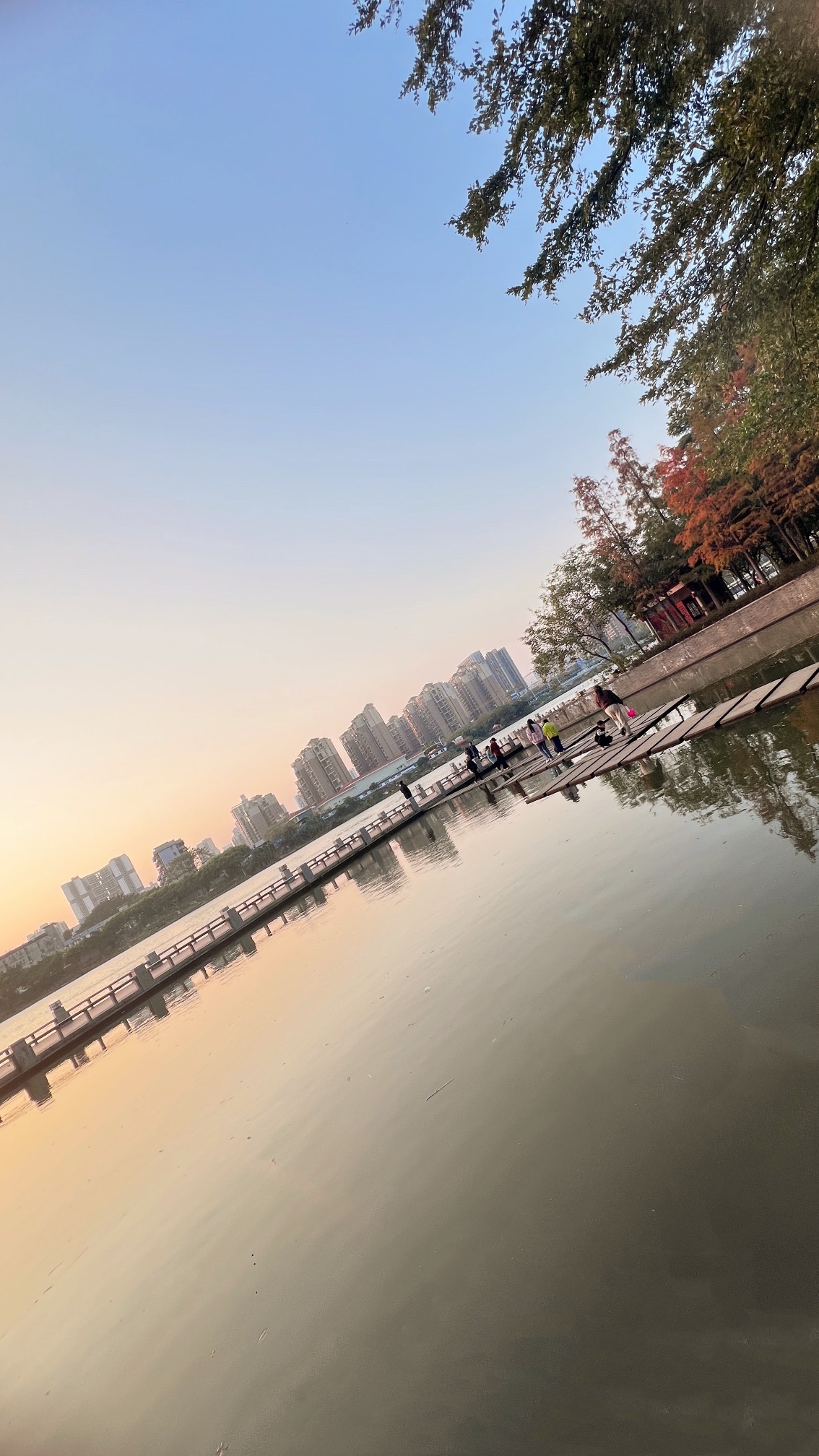 金山湖公园旅行图片 2