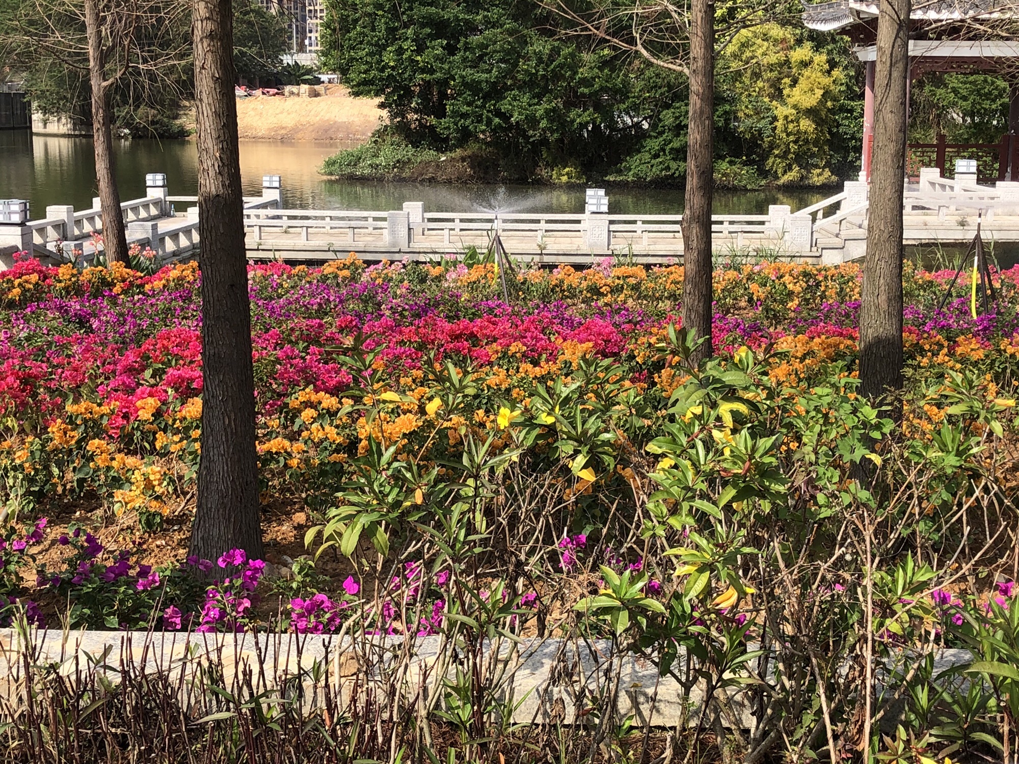 金山湖公园旅行图片 3