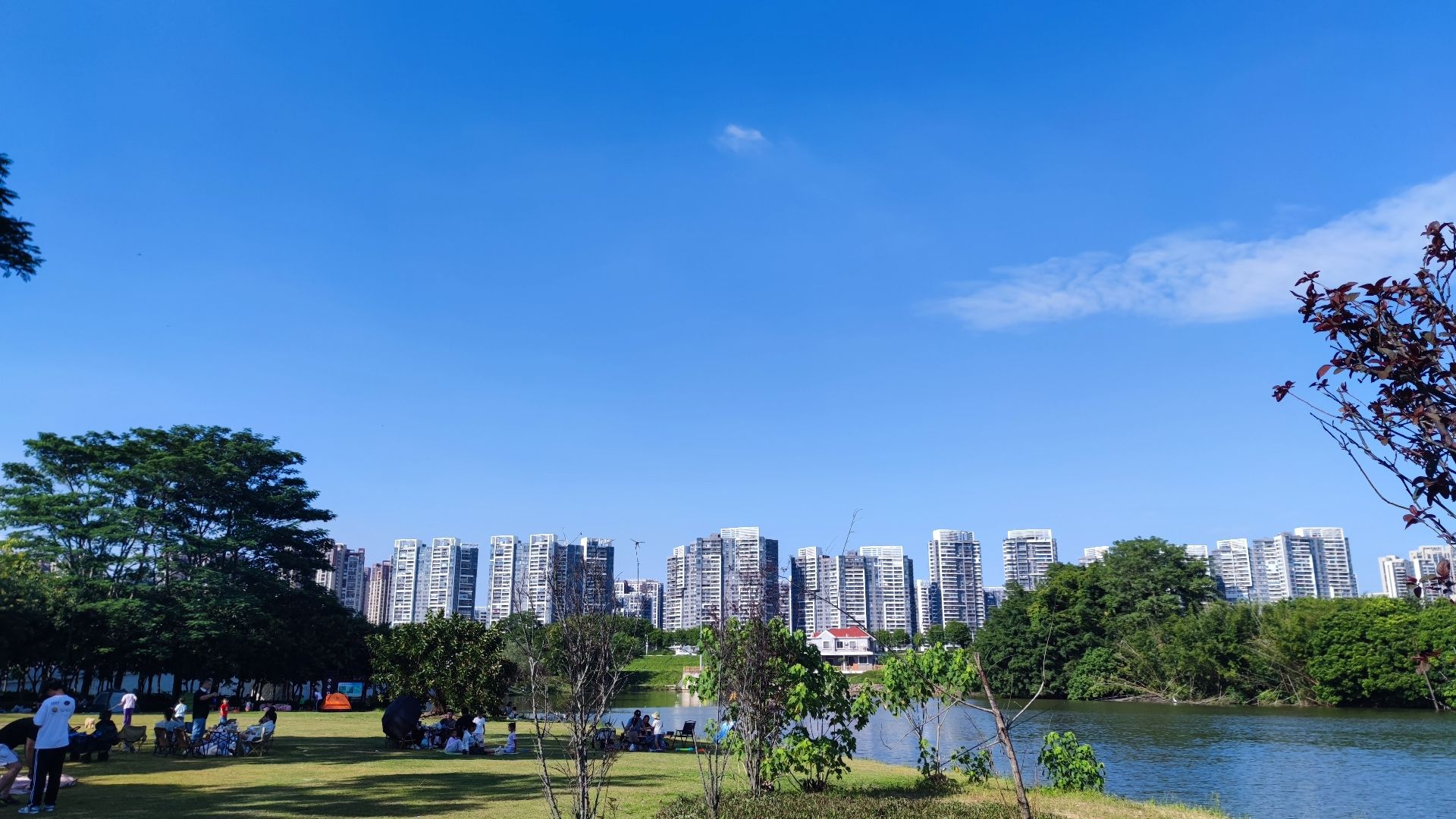 金山湖公园旅行图片 2