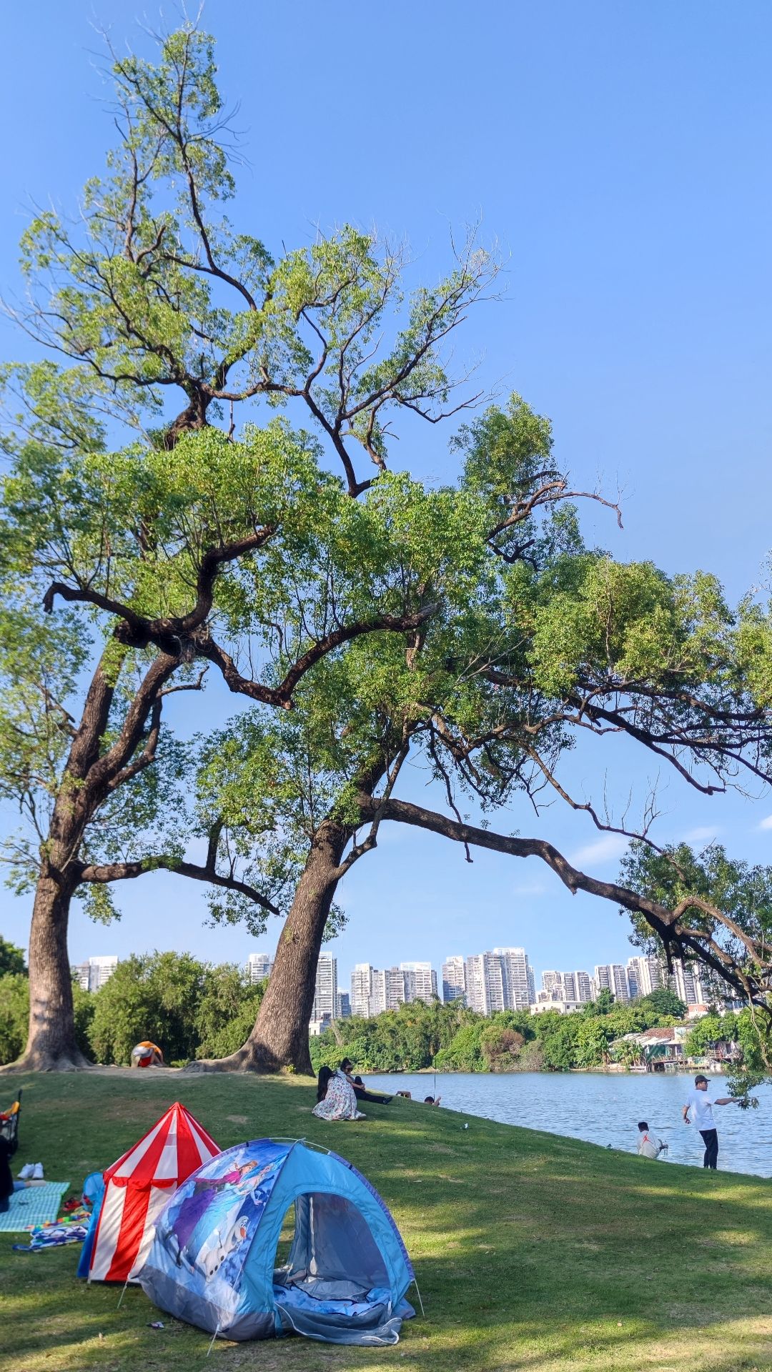 金山湖公园旅行图片 1