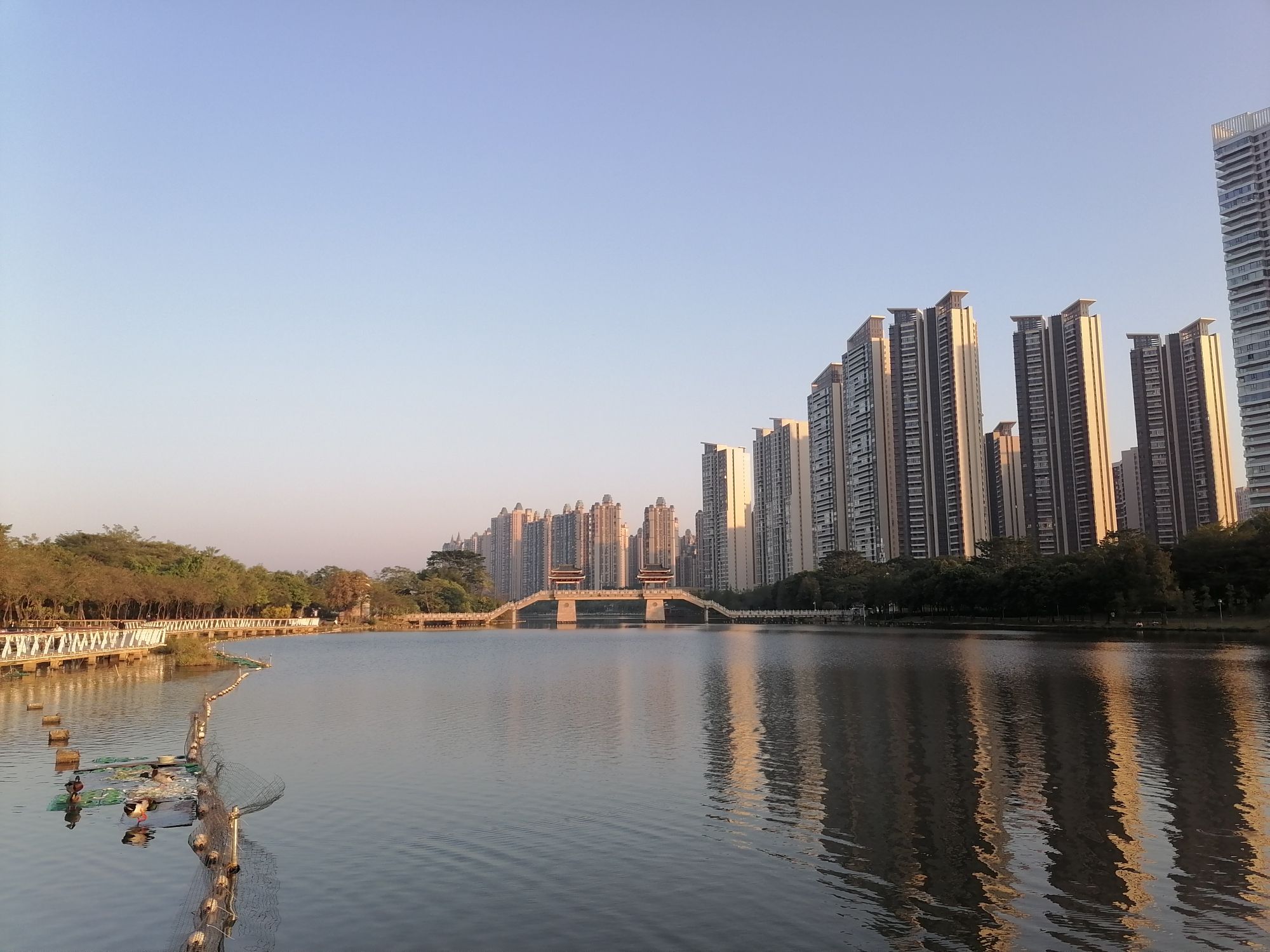 金山湖公园旅行图片 3