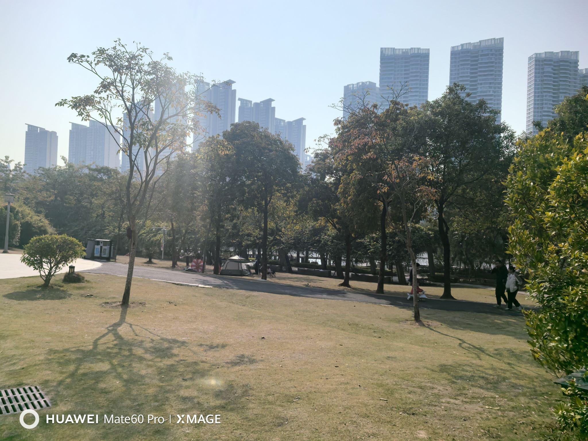金山湖公园旅行图片 2