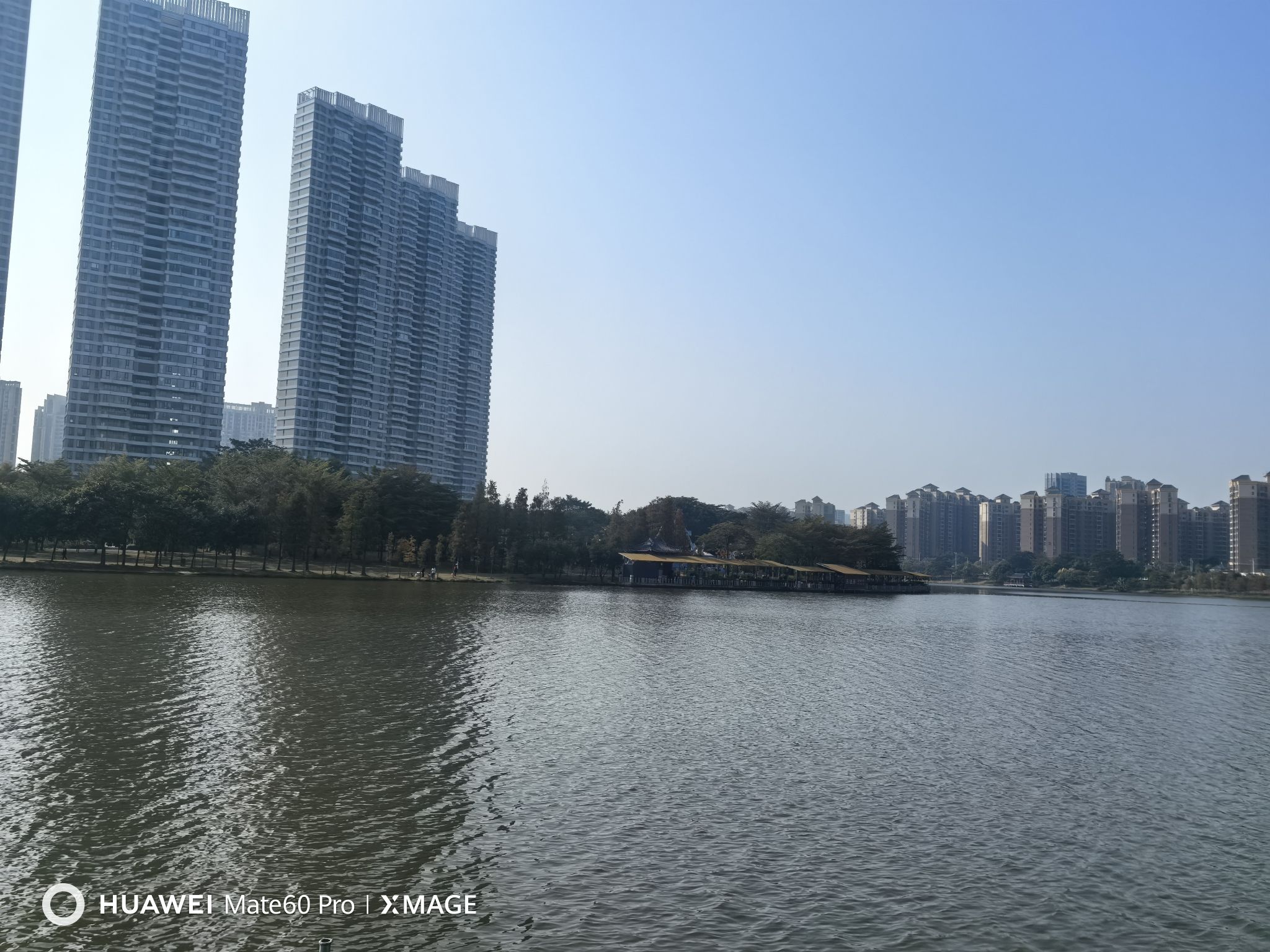 金山湖公园旅行图片 3