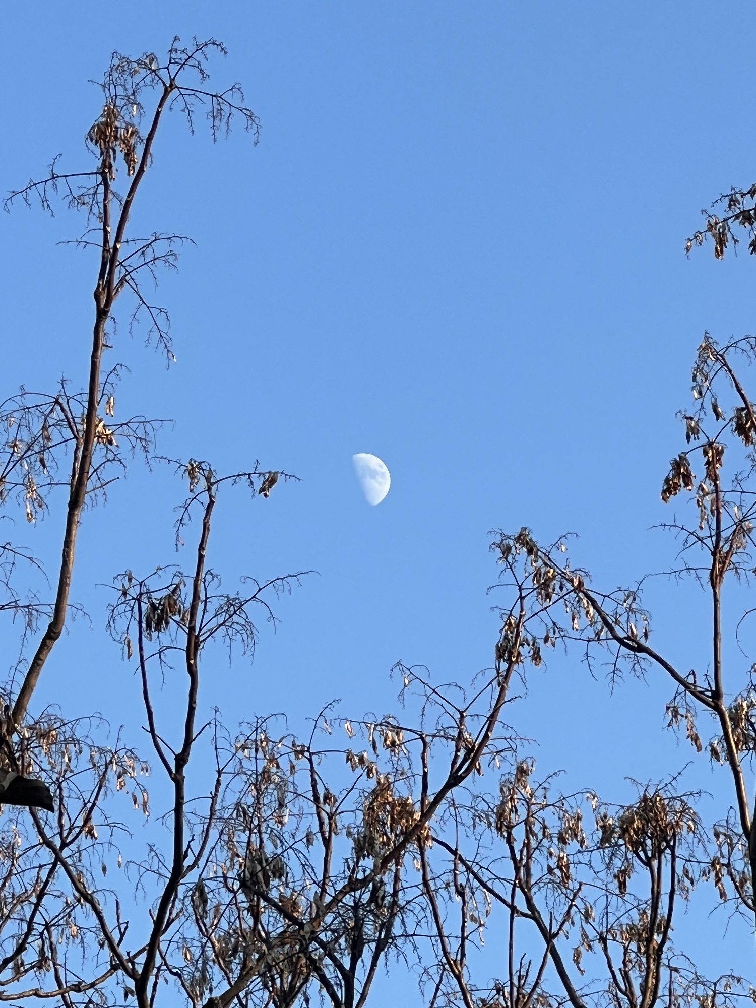 舜耕山大通湿地公园旅行图片 2