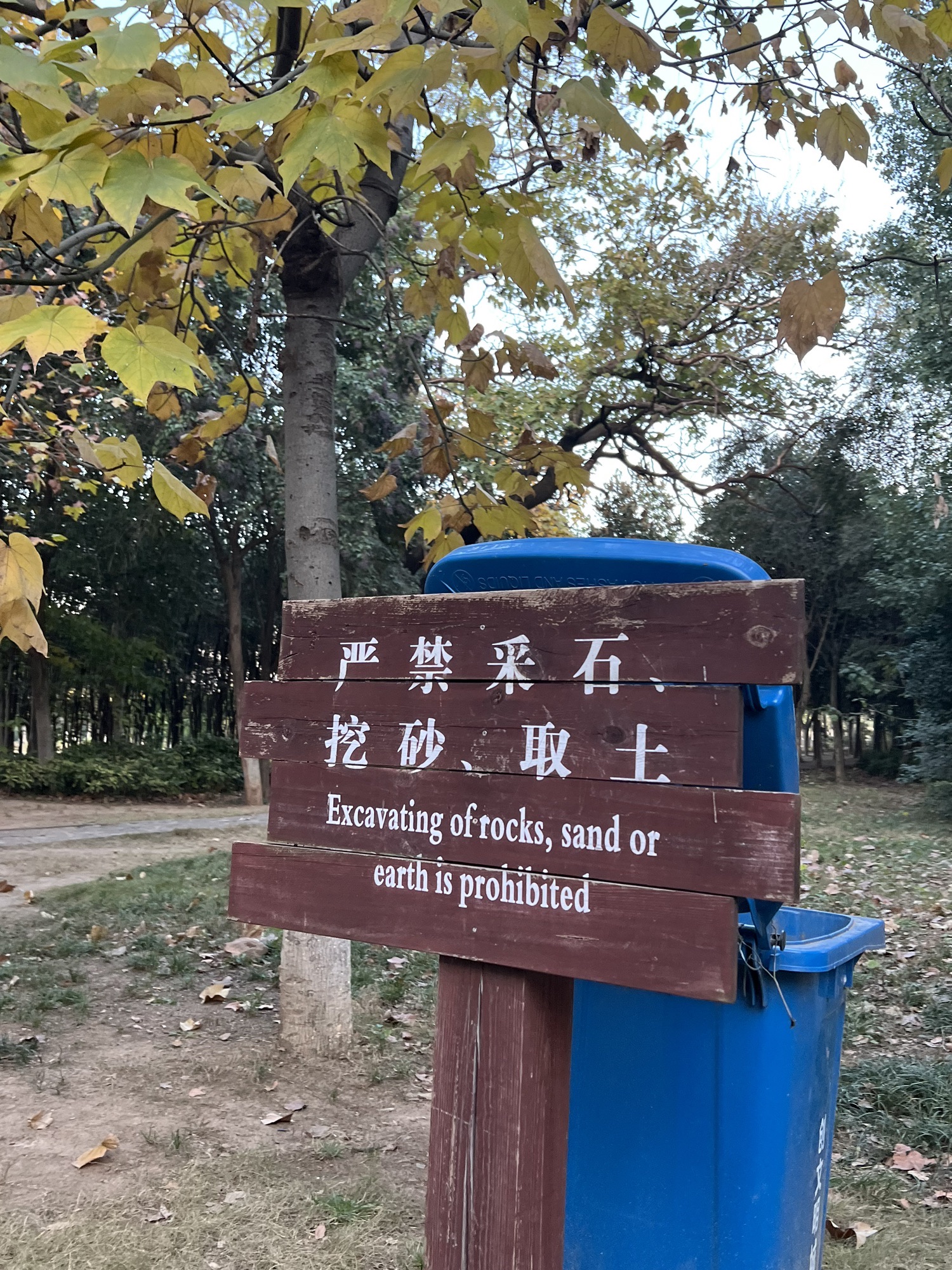 舜耕山大通湿地公园旅行图片 1