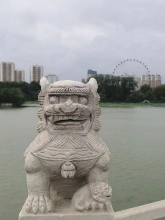 舜耕山大通湿地公园旅行图片 1