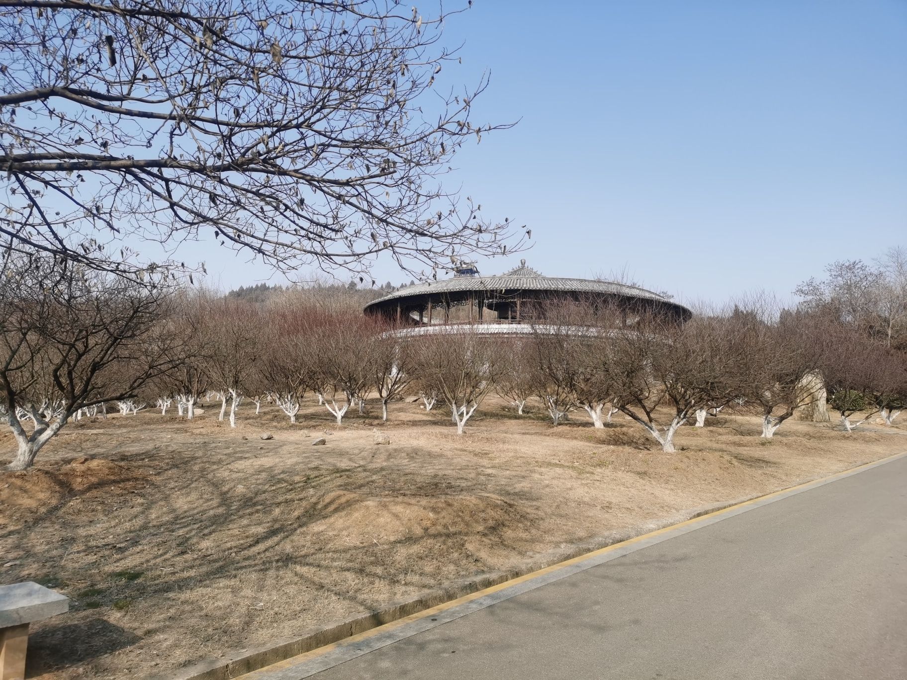 舜耕山大通湿地公园旅行图片 1
