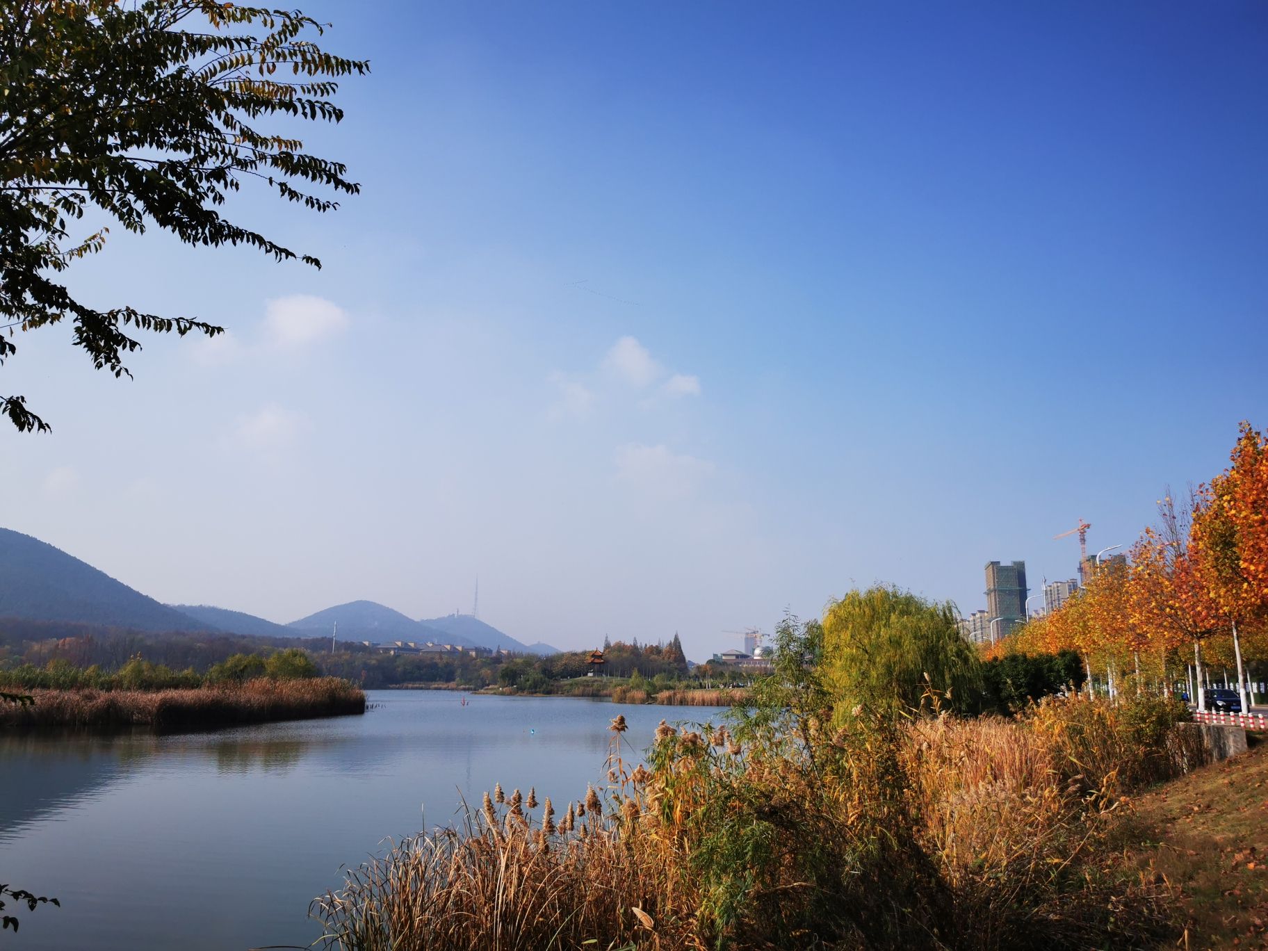 舜耕山大通湿地公园旅行图片 1