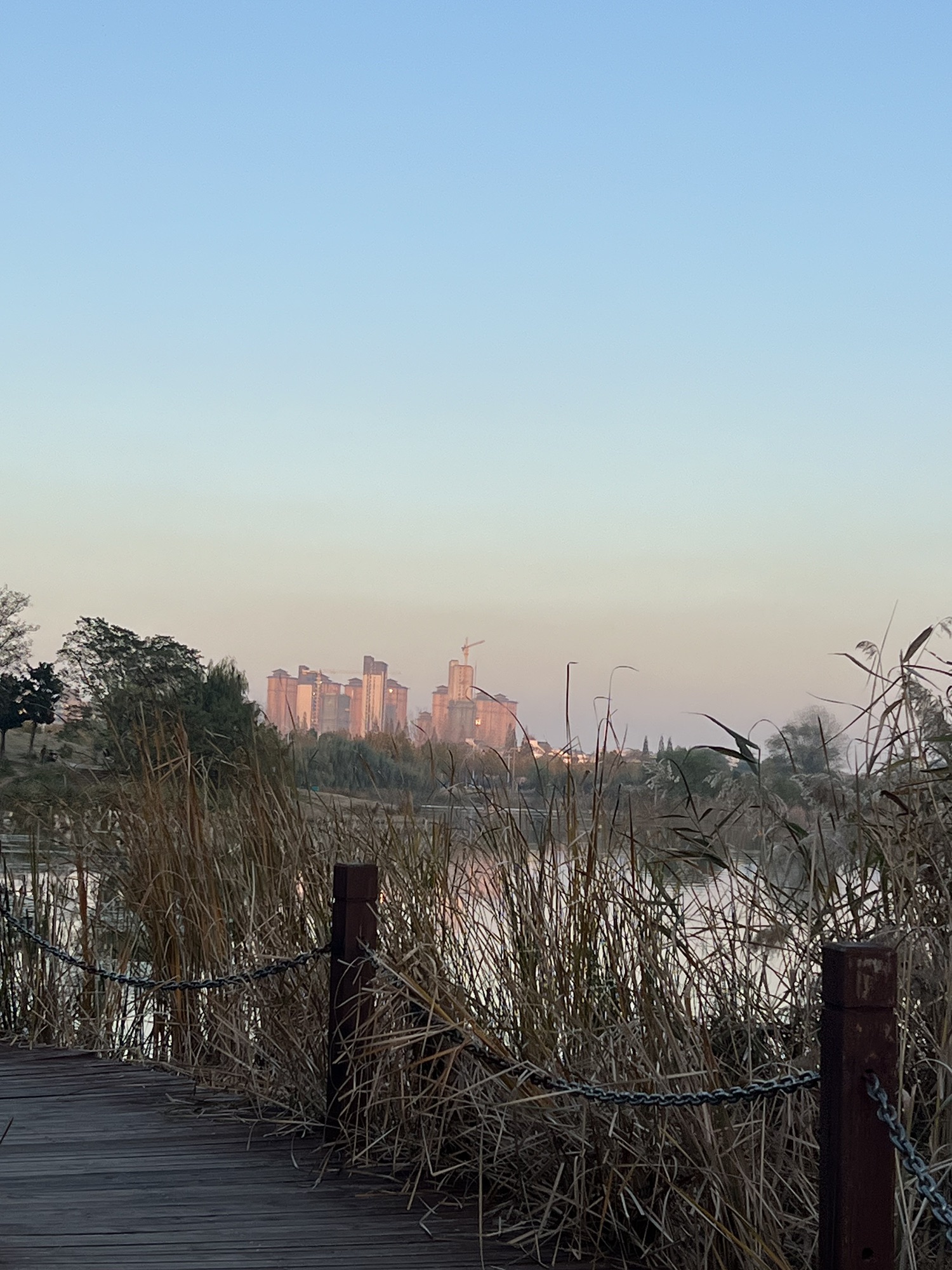 舜耕山大通湿地公园旅行图片 3