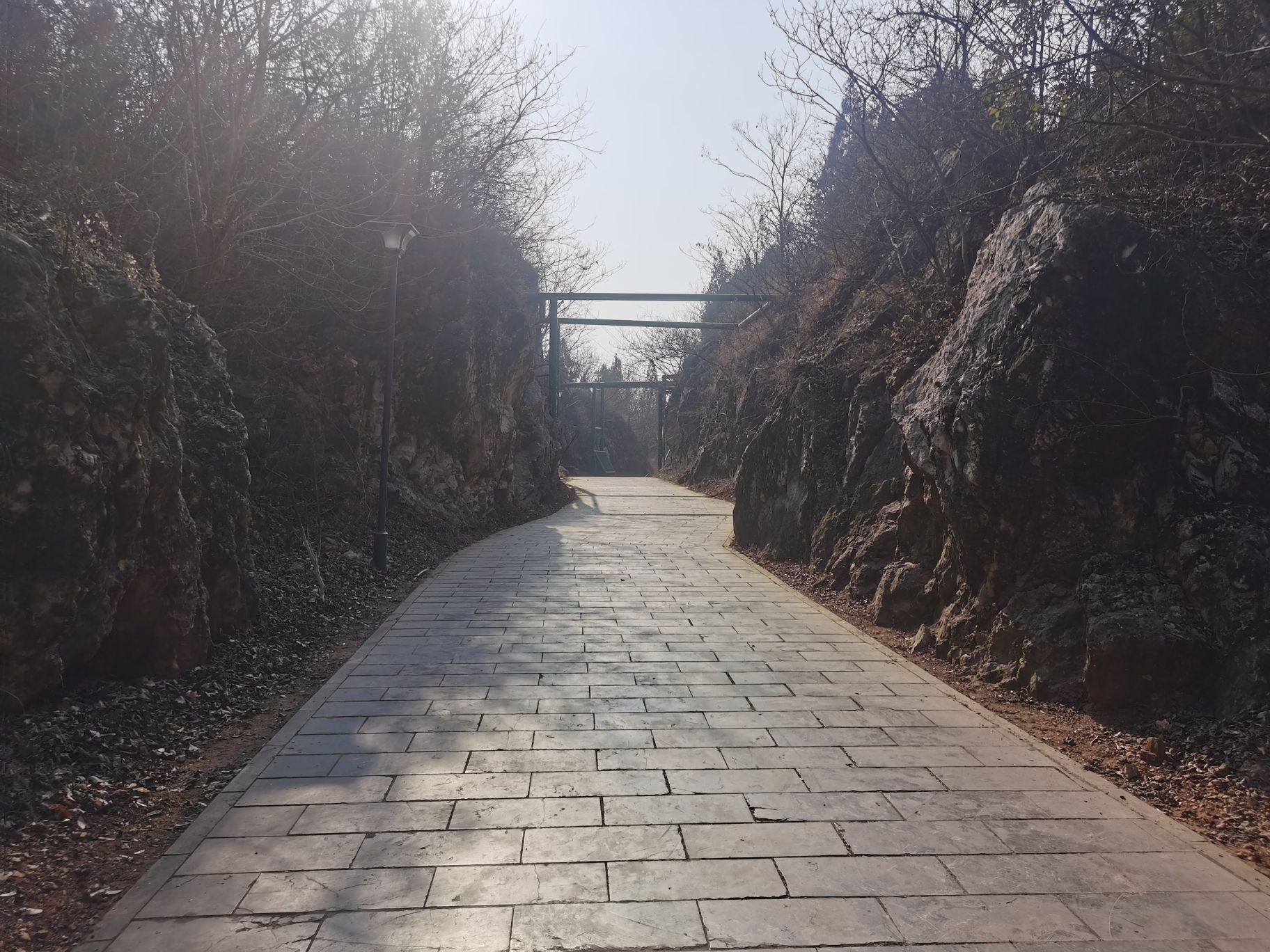 舜耕山大通湿地公园旅行图片 3