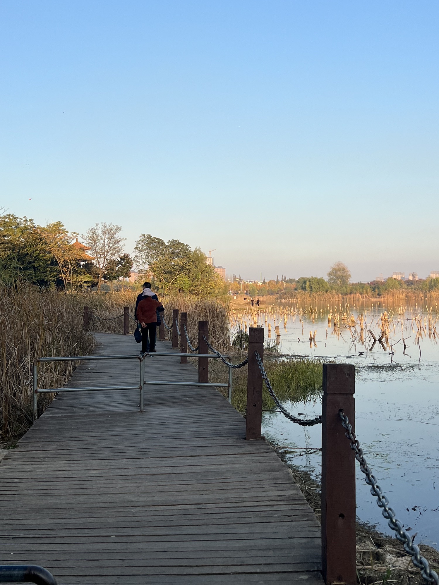 舜耕山大通湿地公园旅行图片 2