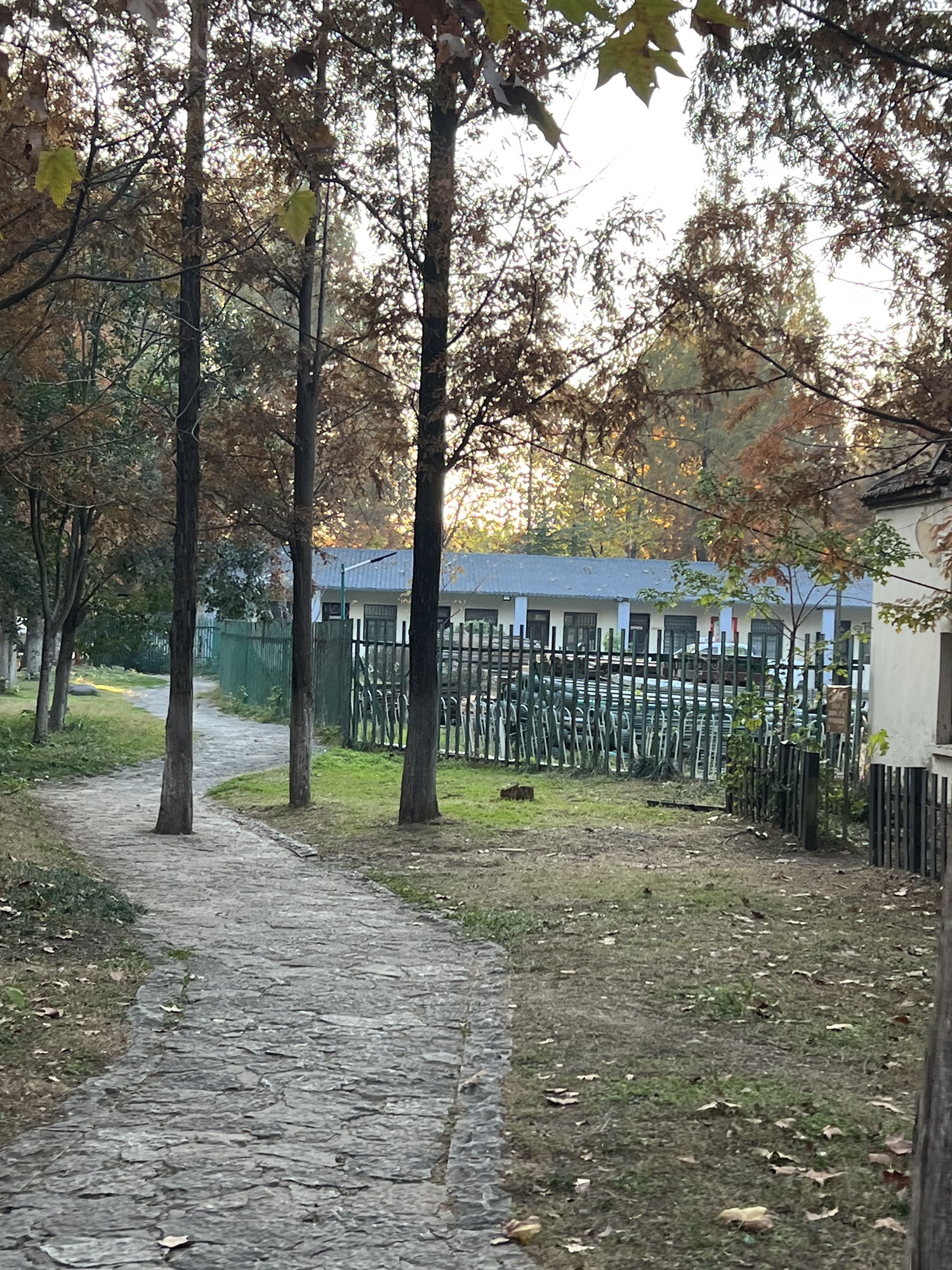 舜耕山大通湿地公园旅行图片 3