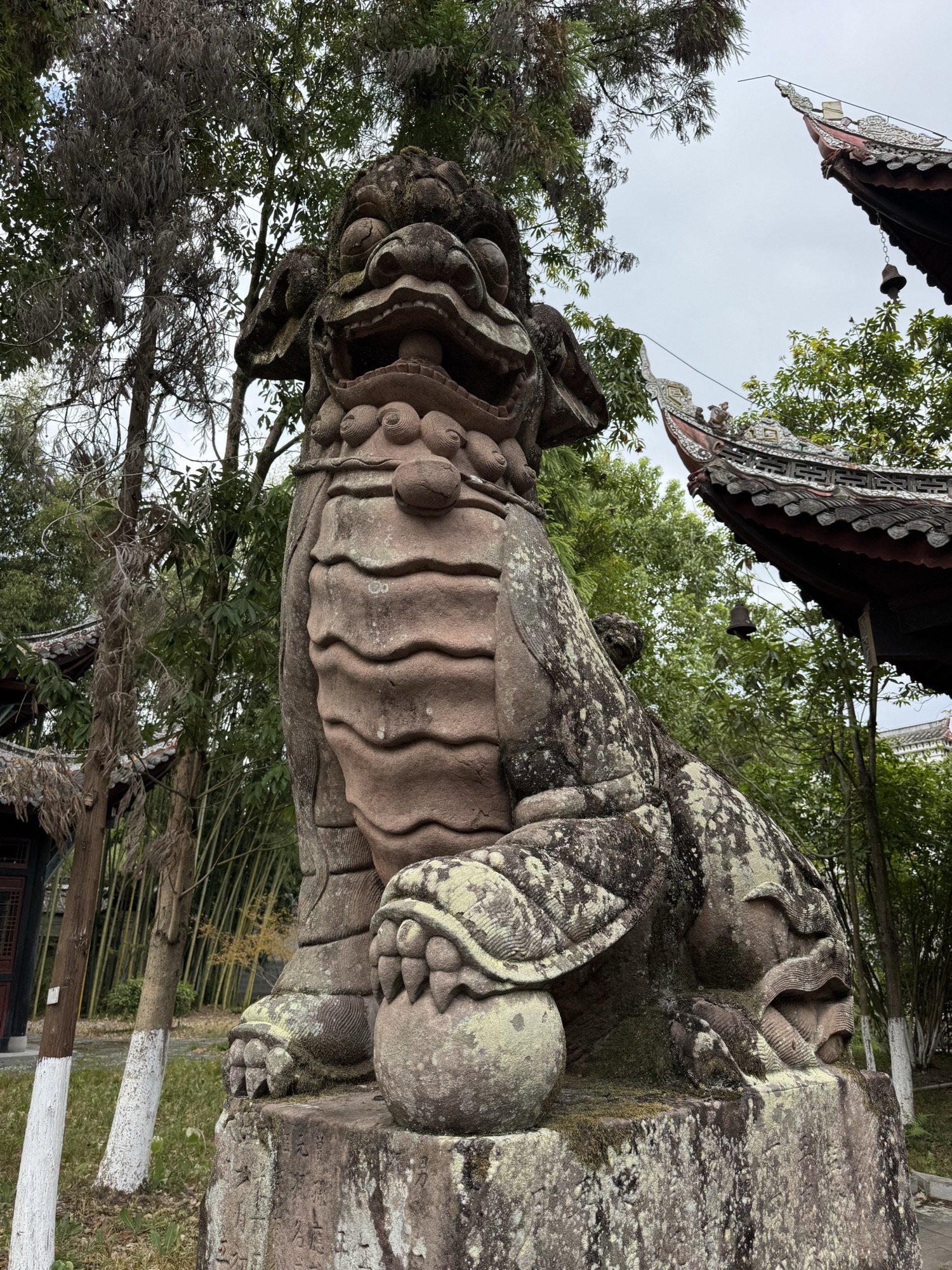 双桂堂旅行图片 2