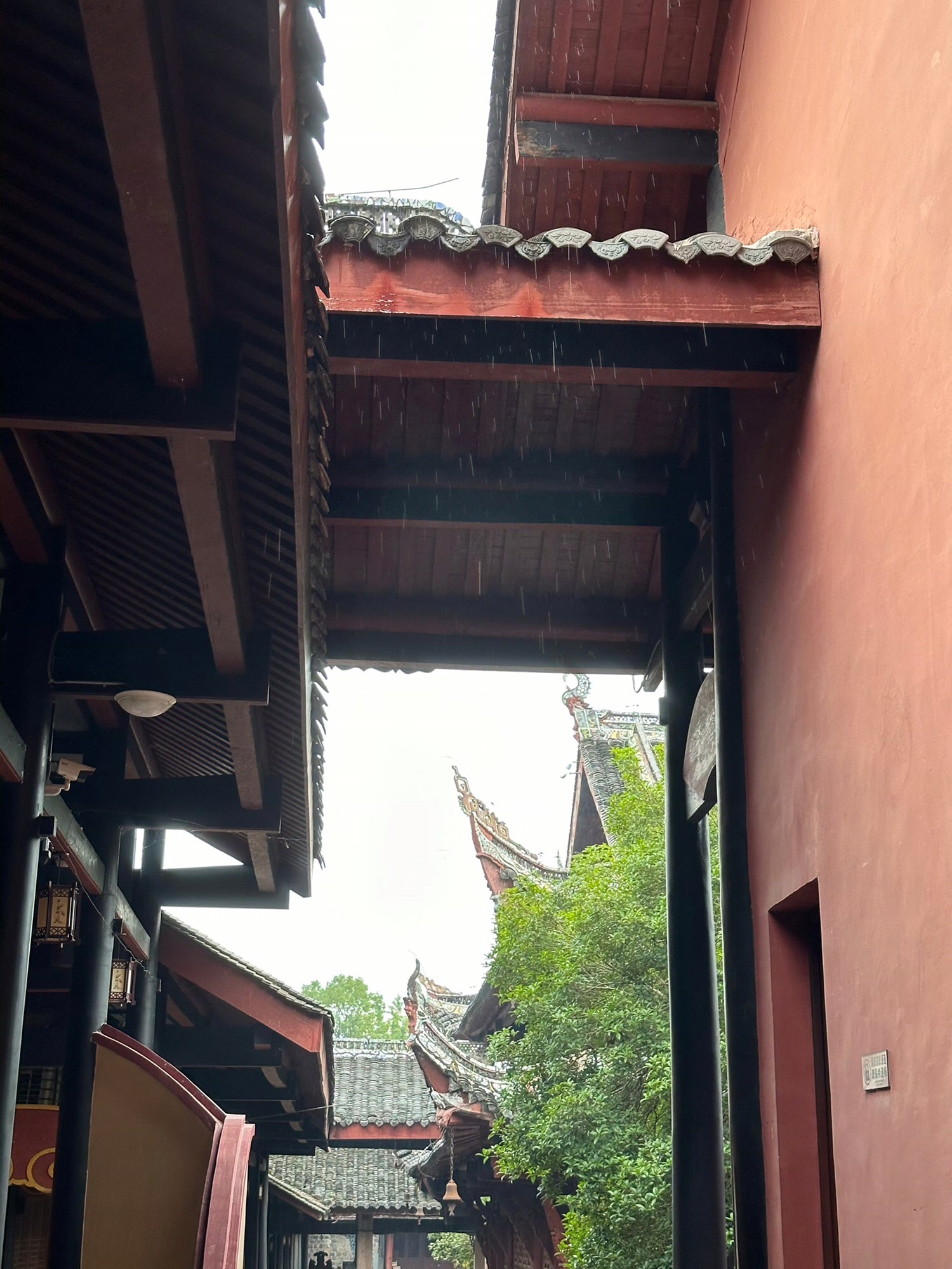 双桂堂旅行图片 2
